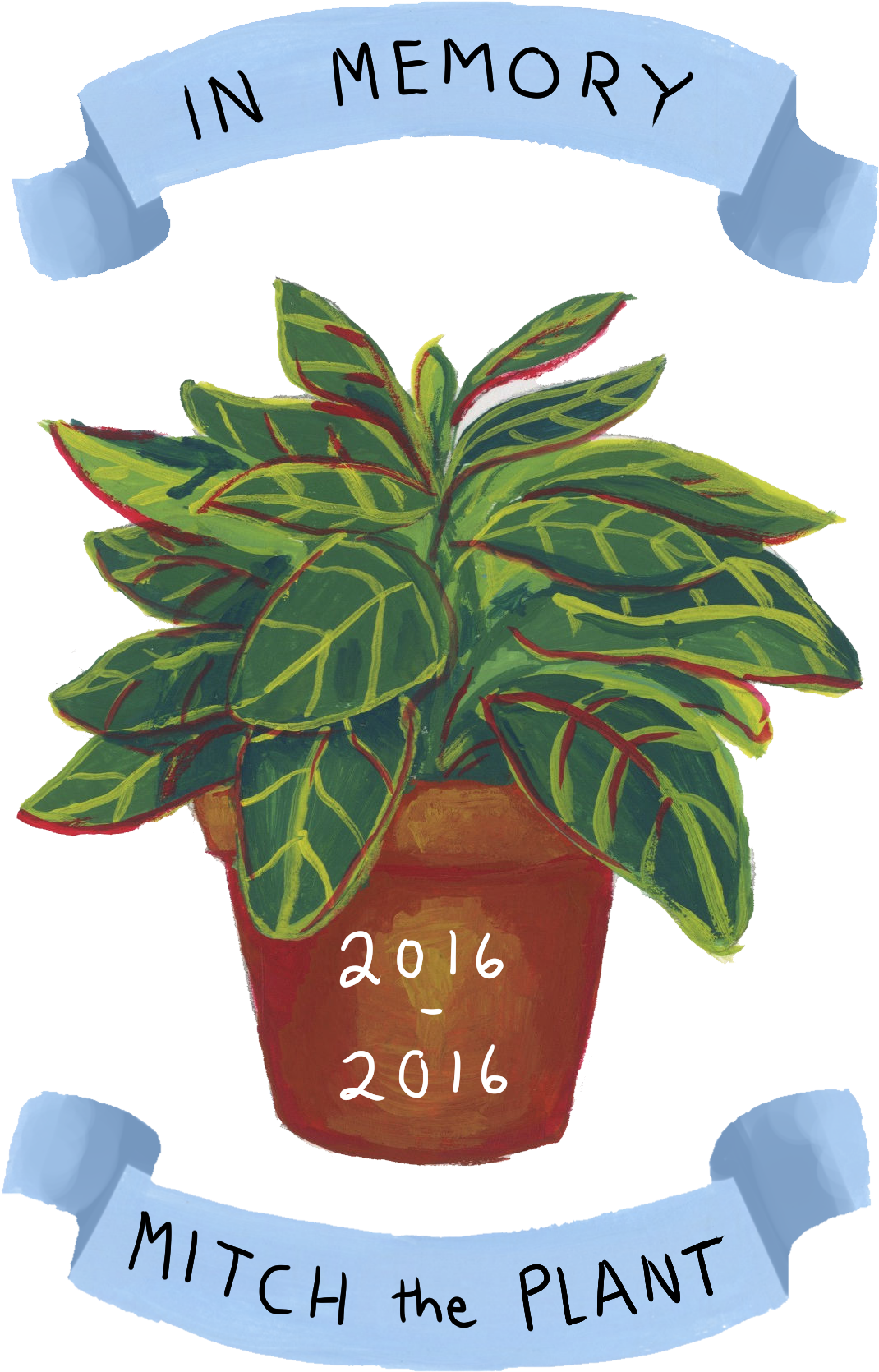 Memoryof Mitchthe Plant Illustration PNG