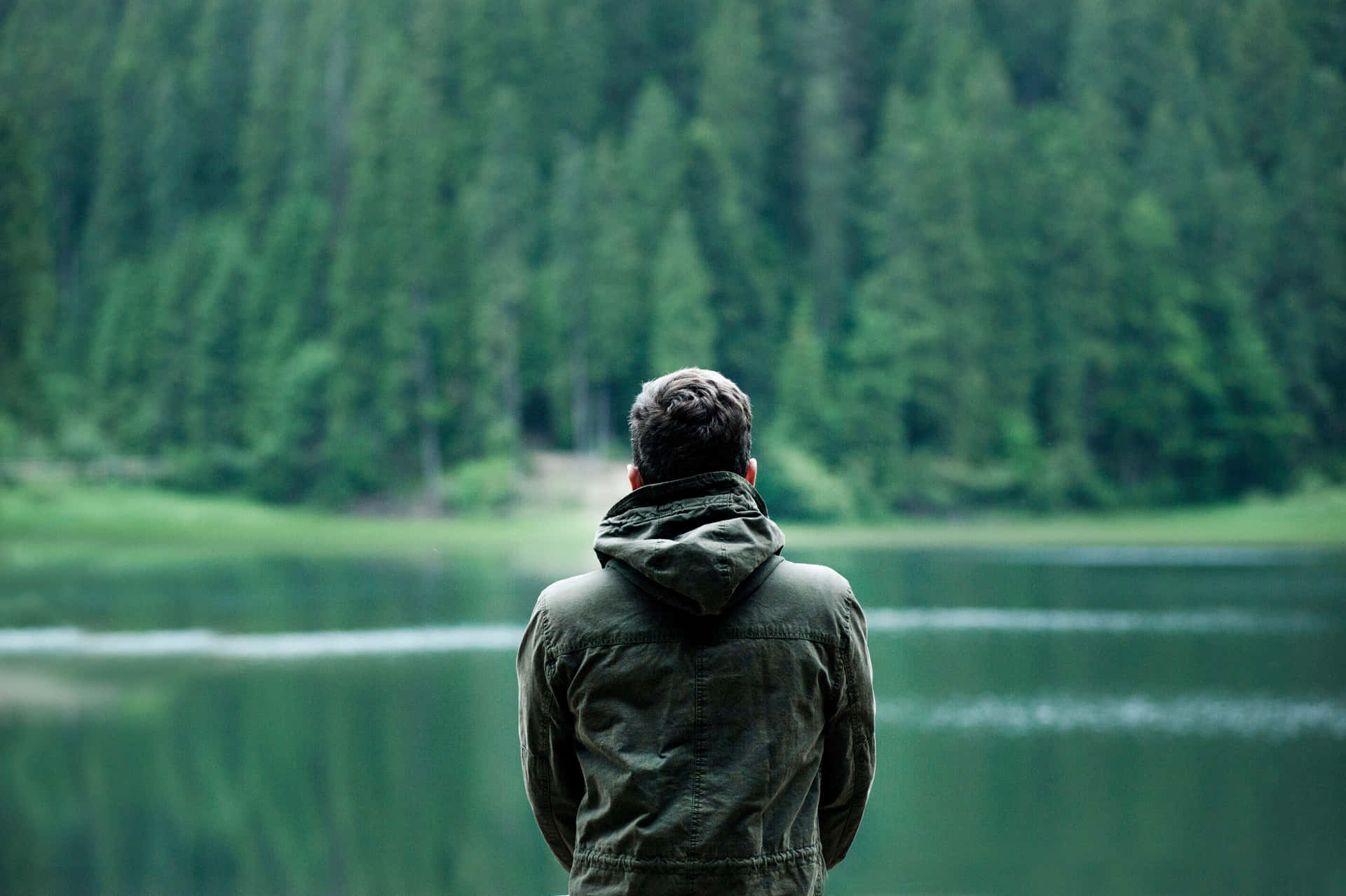 Man Looking At Lake In Forest