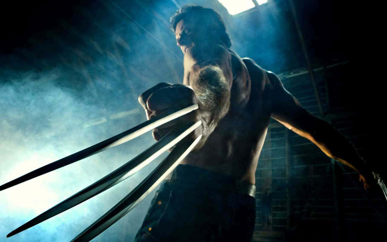 Wolverineel Wolverine - Fondos De Pantalla En Alta Definición