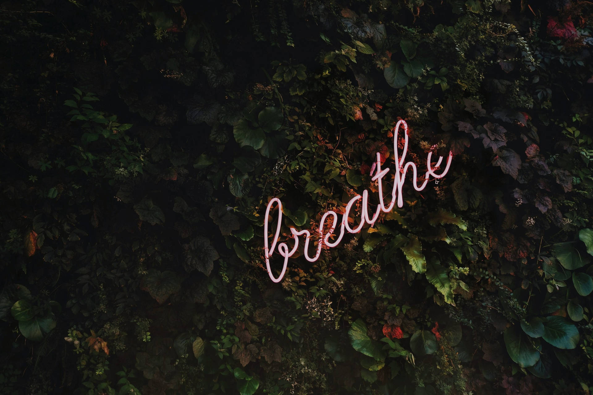 Breathe For Your Mental Health Wallpaper