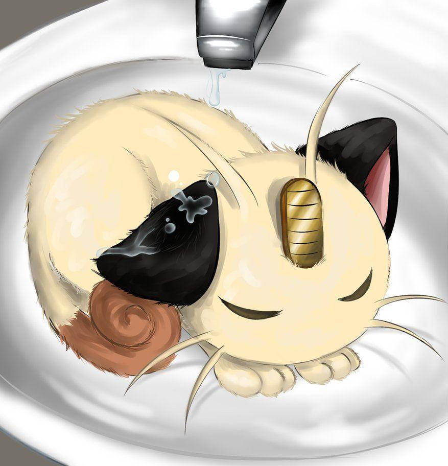 Meowth Sleeping In The Sink Wallpaper