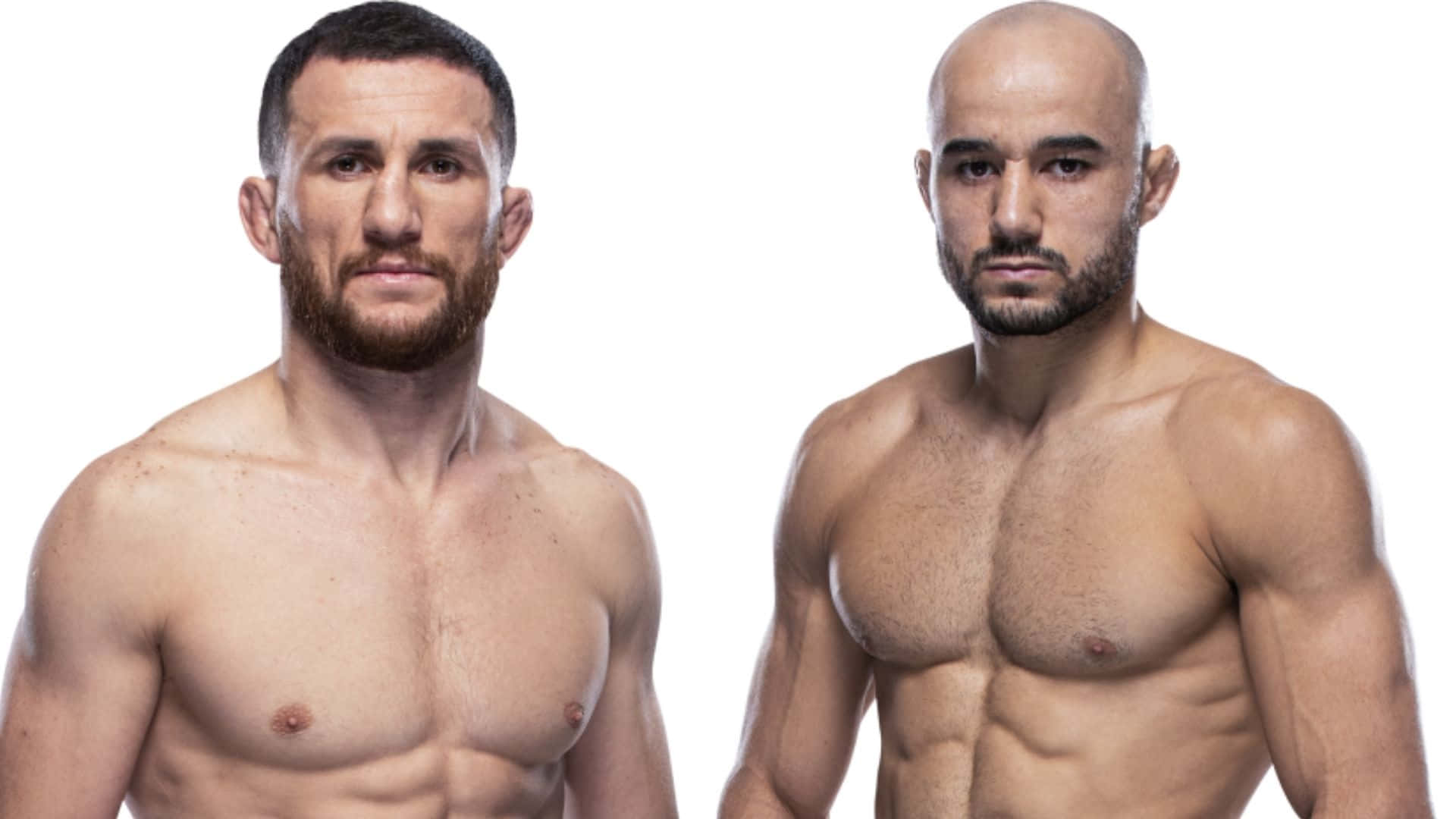 Merab Dvalishvili og Alexander Volkanovski klar til at konkurrere om UFC guld Wallpaper