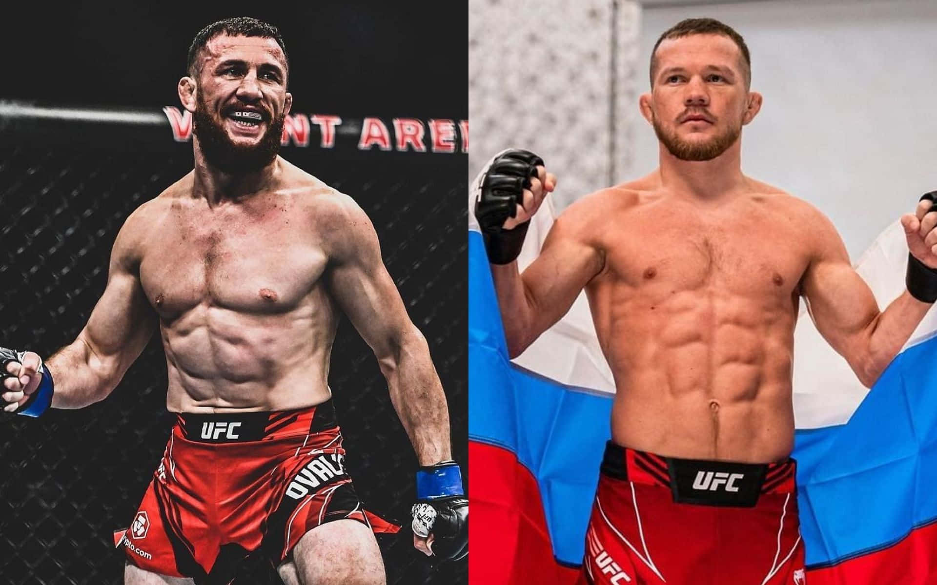 MMA Fighters Merab Dvalishvili and Petr Yan in Octagon Wallpaper