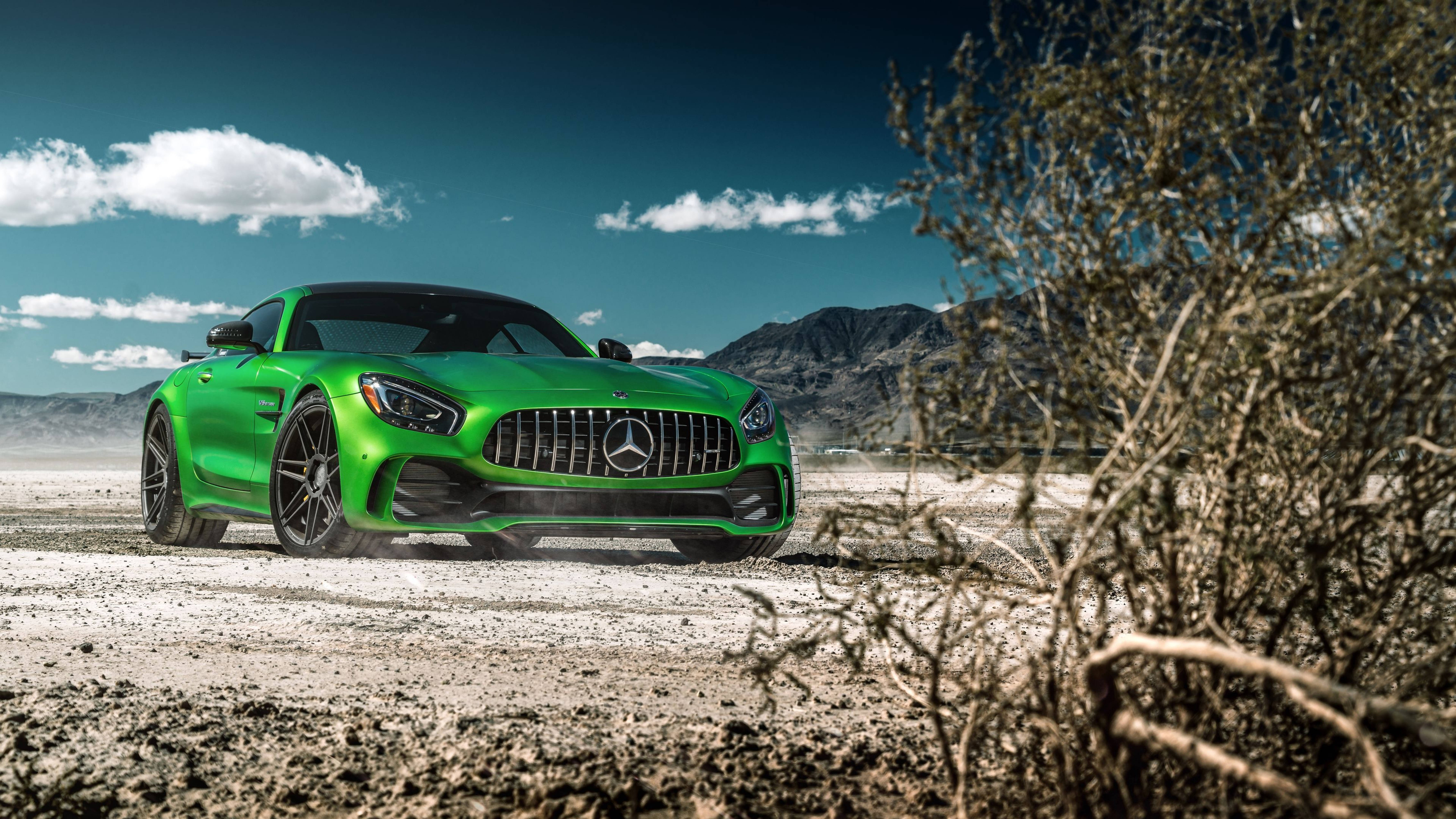 Mercedes Amg 4k Green Car With Dry Tree Wallpaper