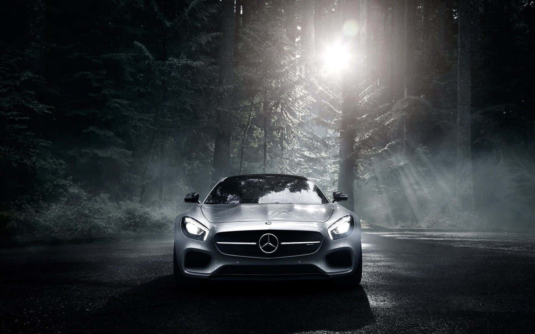Mercedes Amg Background Dark Forest Light