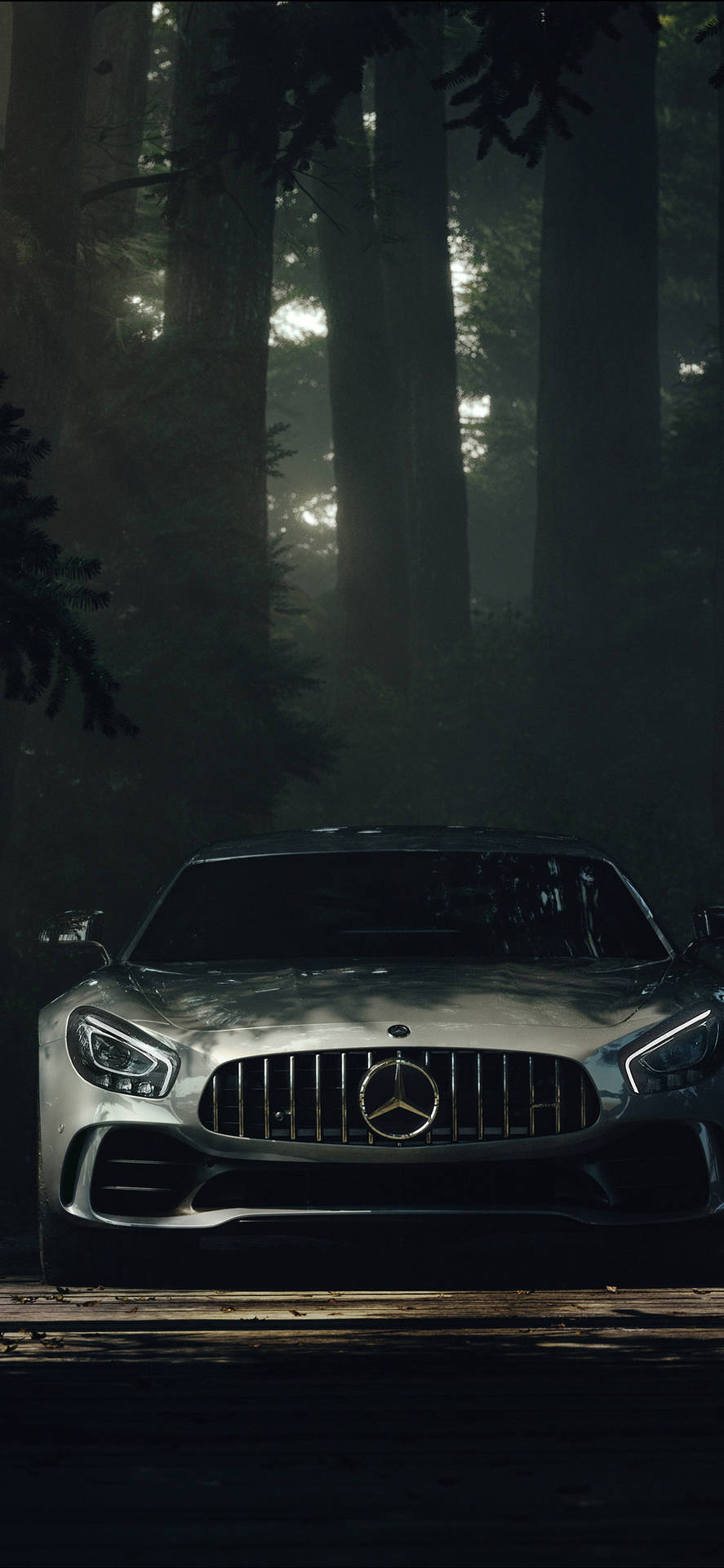 Mercedes-amg Forest Wallpaper