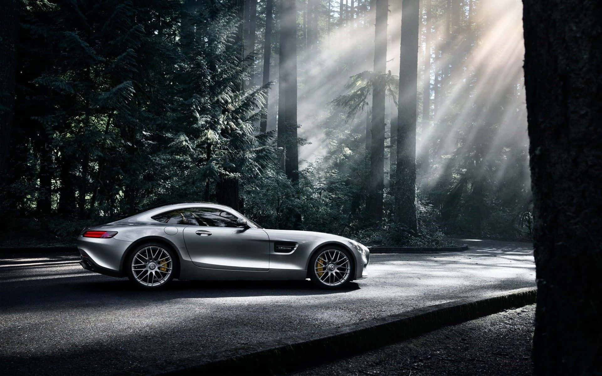 Mercedes AMG GT i en skov Wallpaper
