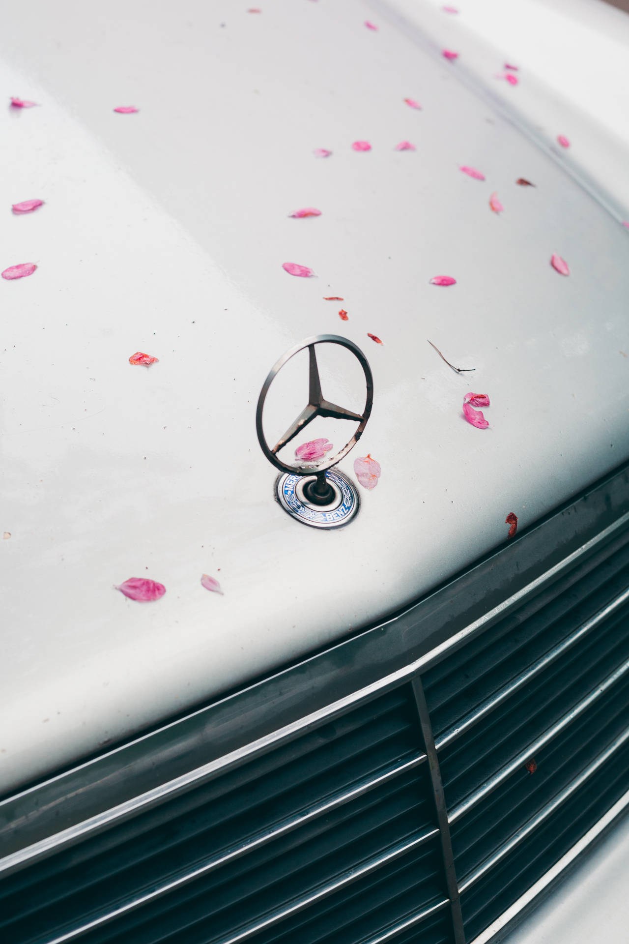 Mercedes Amg Petals Iphone
