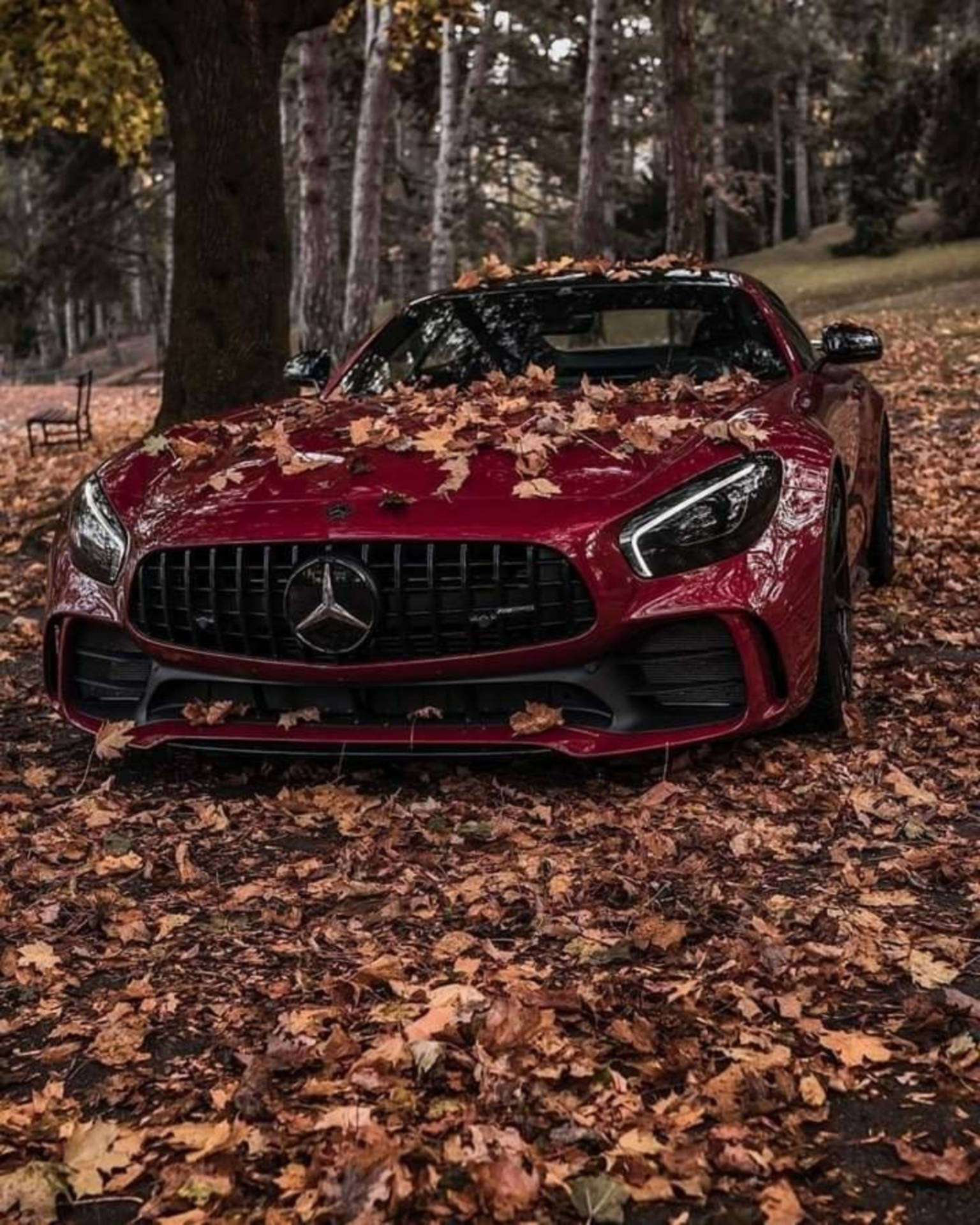 Mercedes Benz Amg Gtr Autumn Season Wallpaper