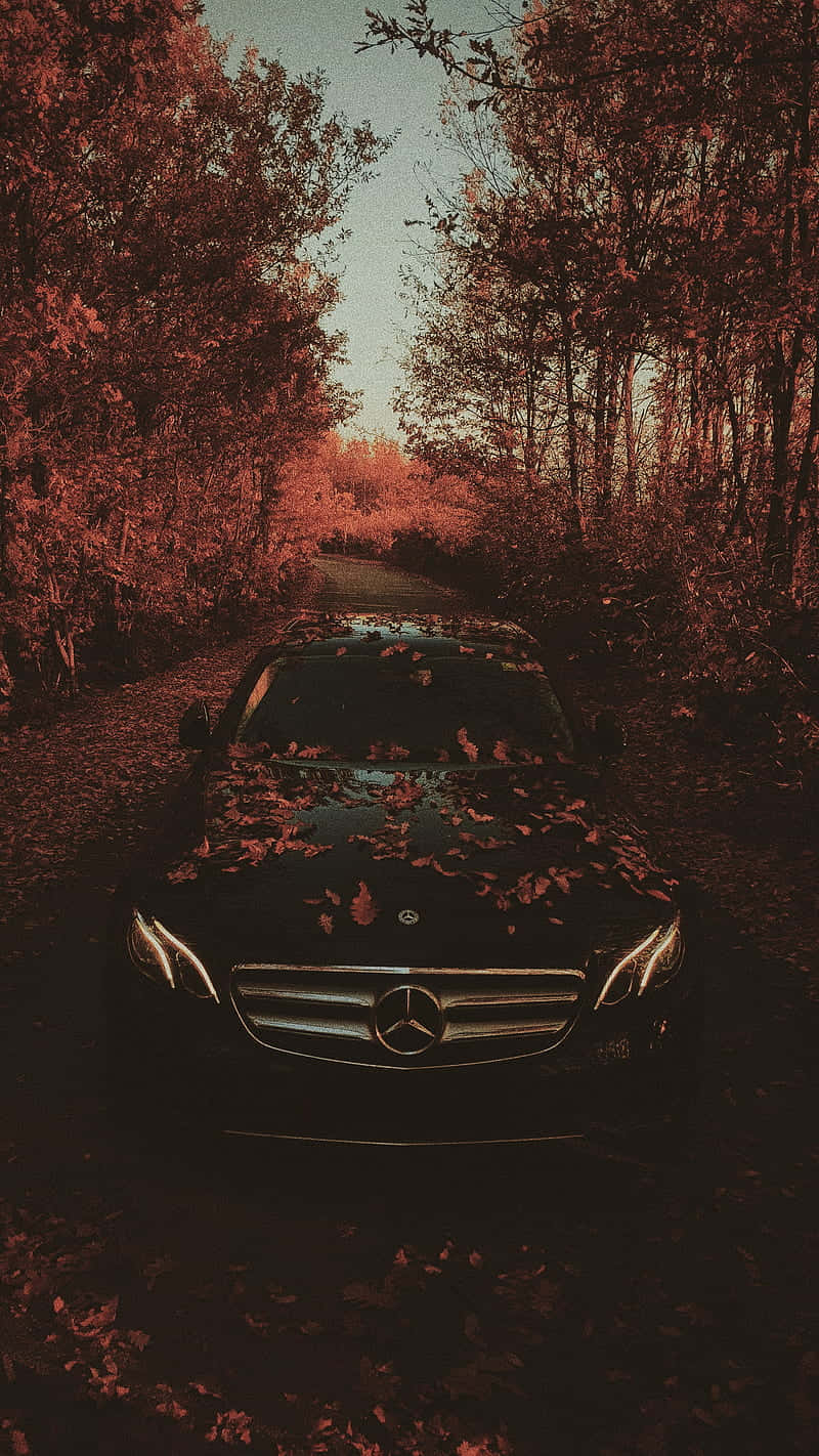Mercedes CLS parkeret i skoven, omgivet af blade Wallpaper