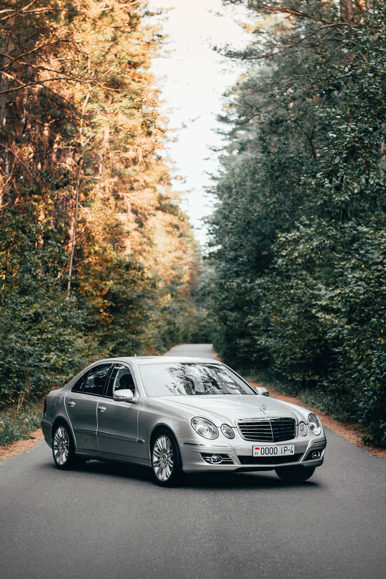 Mercedes Benz Clase E In The Woods Wallpaper