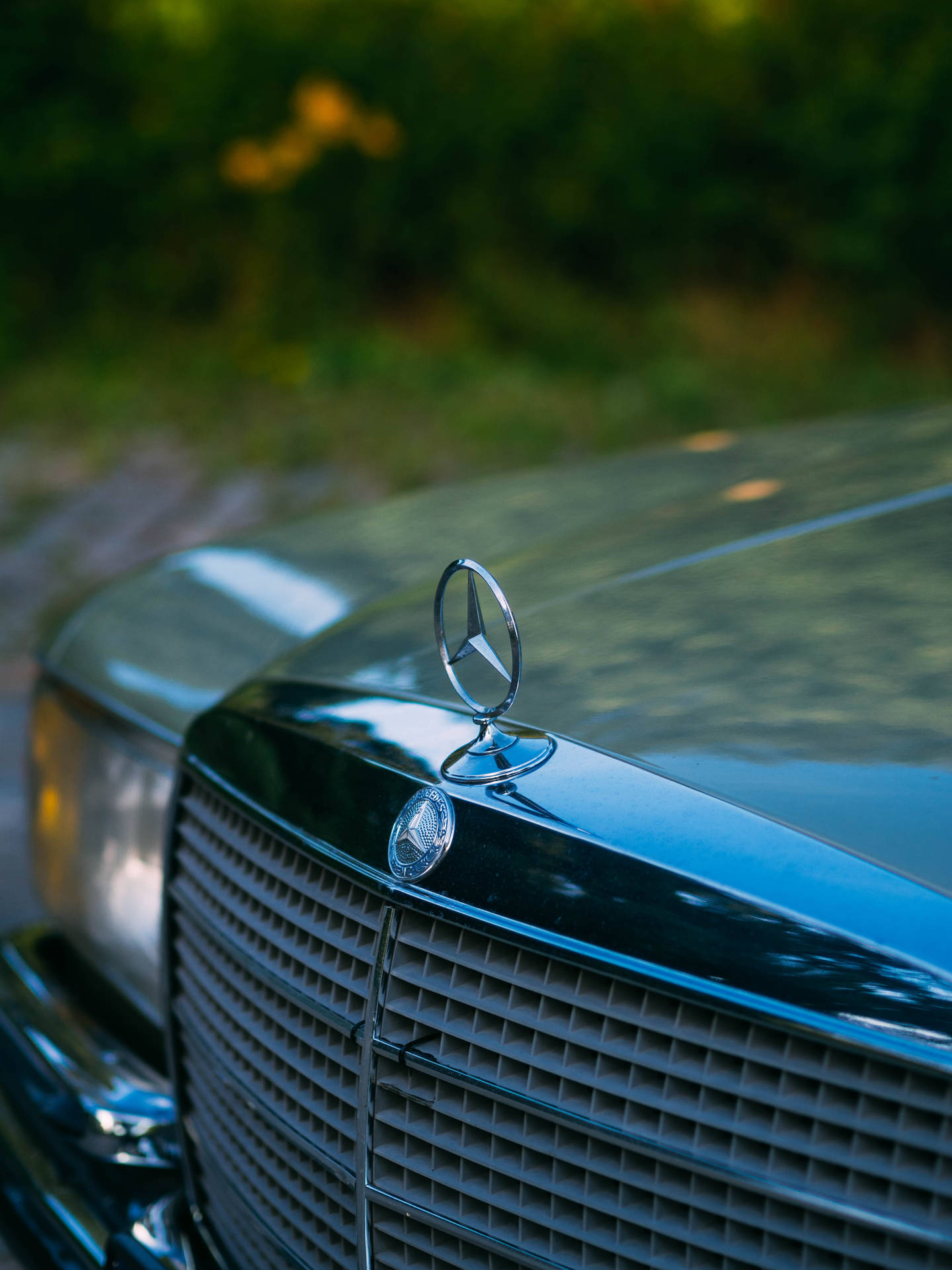 Luxurious Mercedes-Benz Front Bumper and Logo Wallpaper