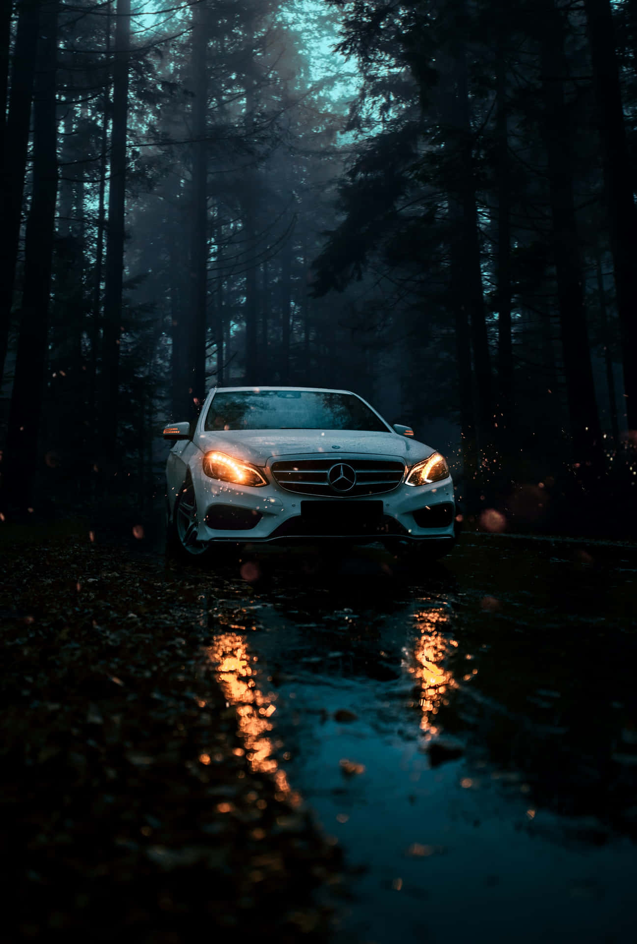 Mercedes Benz Di Hutan Mistis Wallpaper