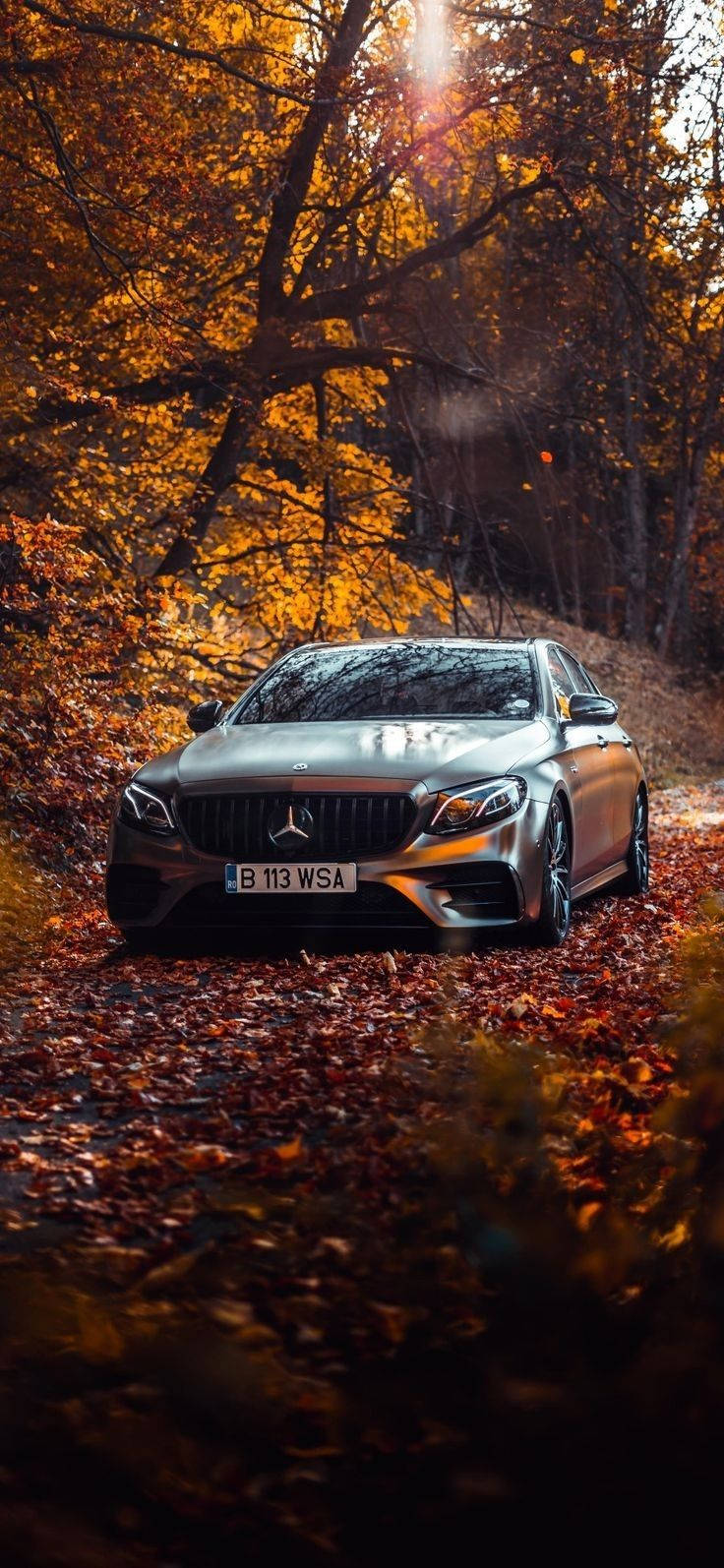 Mercedes Iphone X Foglie D'autunno Sfondo