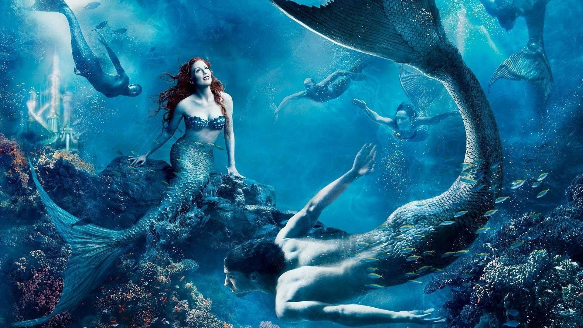 Group of happy mermaids swimming underwater Wallpaper