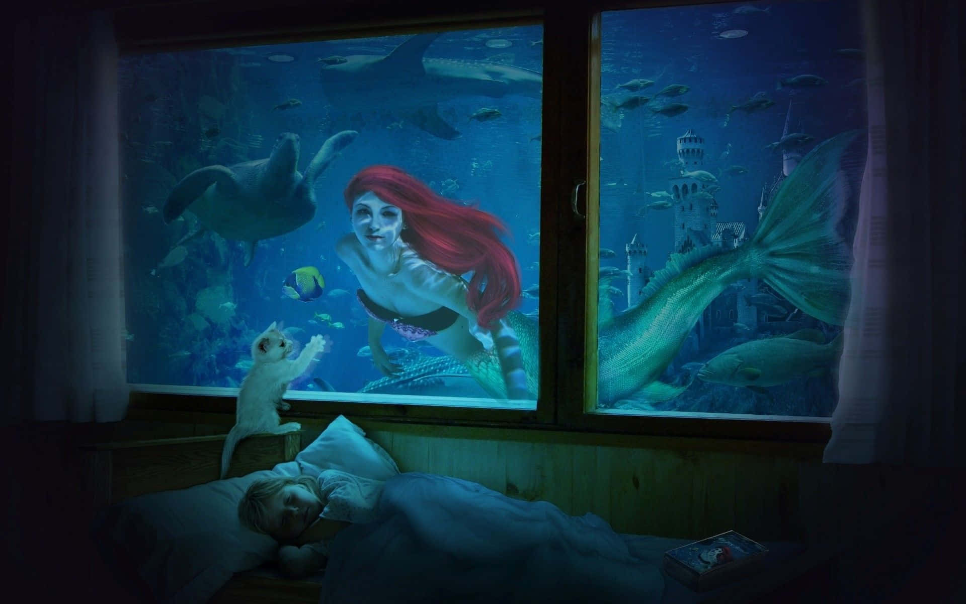 Mermaid Window Picture