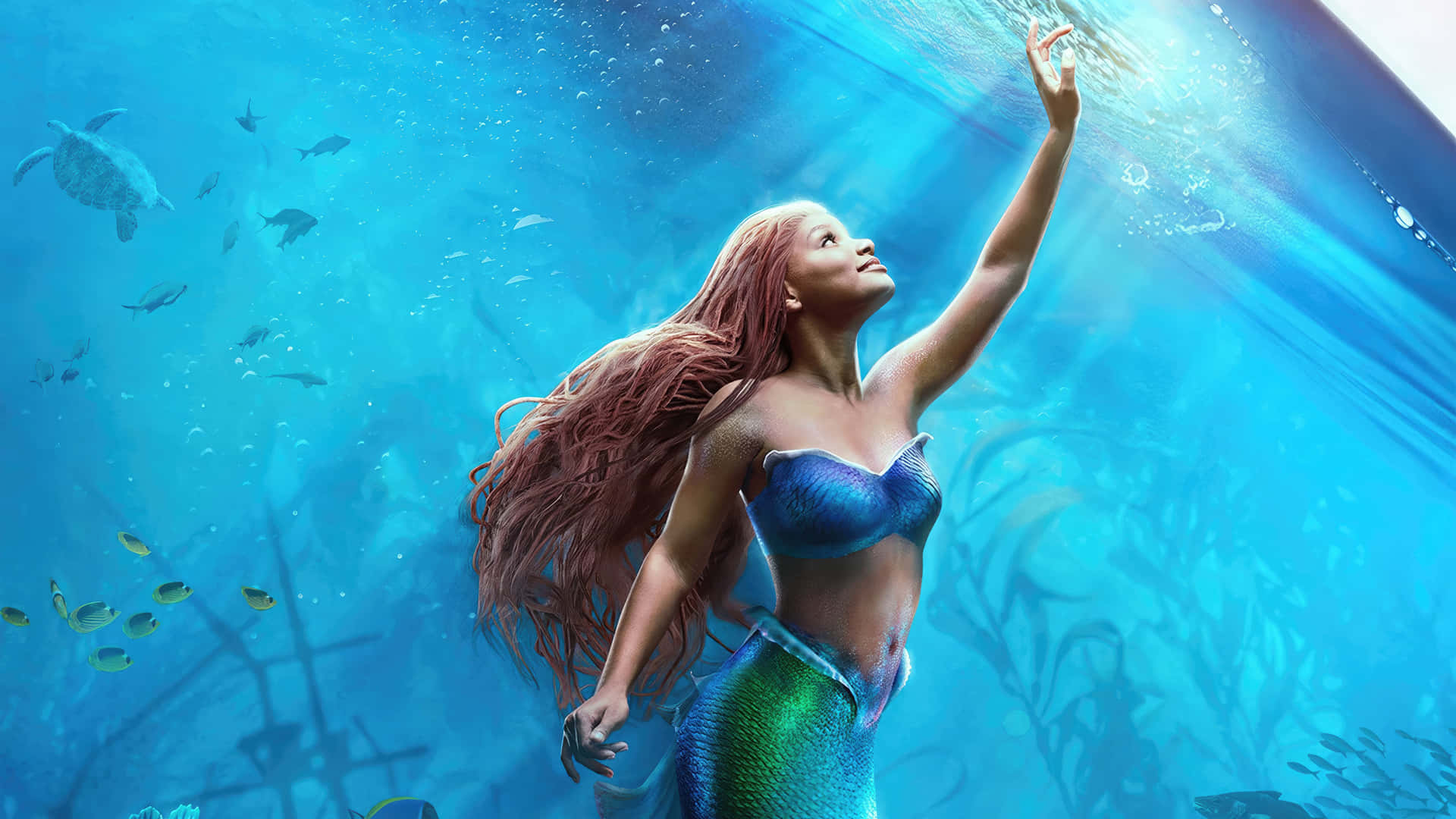 Mermaid Reachingfor Light Underwater Wallpaper