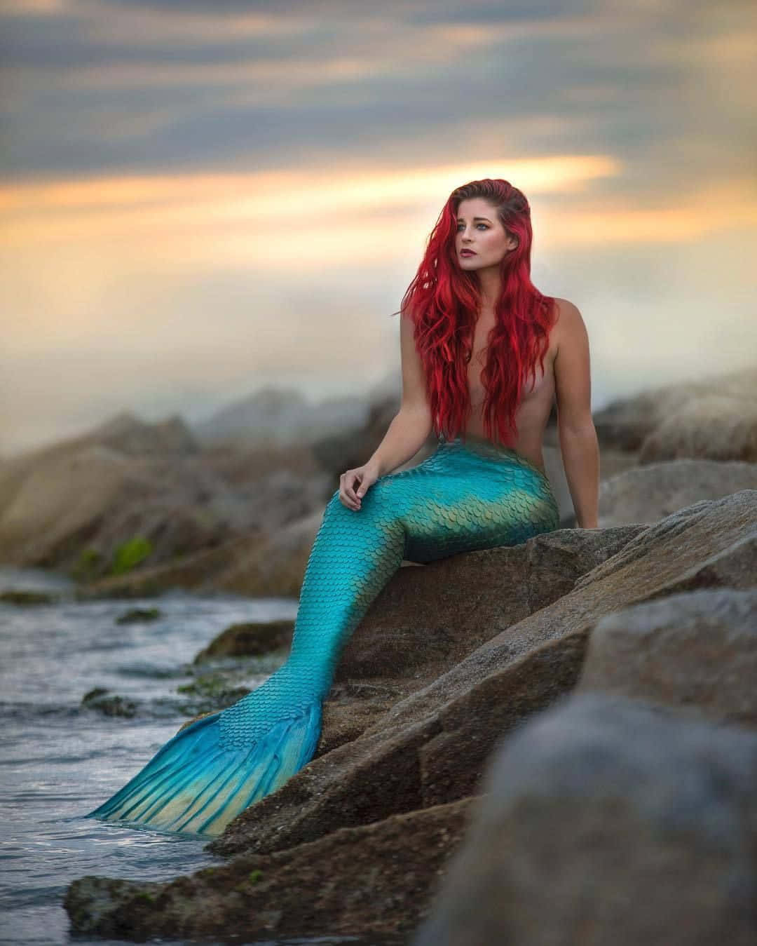 Mermaid On Rock Real Life Picture