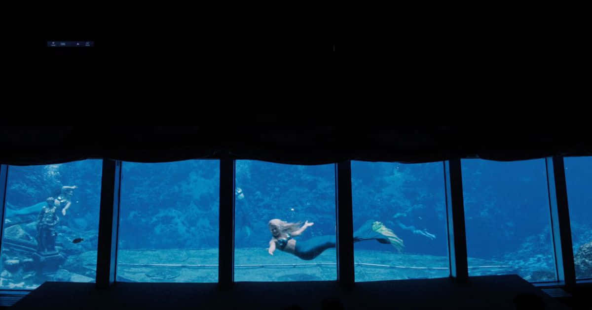 Bildeines Echten Meerjungfrauen-aquariums In Realistischer Darstellung