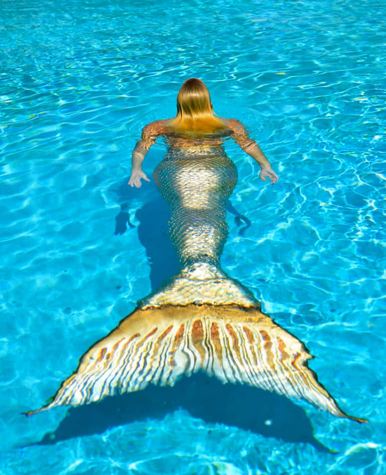 Mermaid Real Life Golden Silver Picture