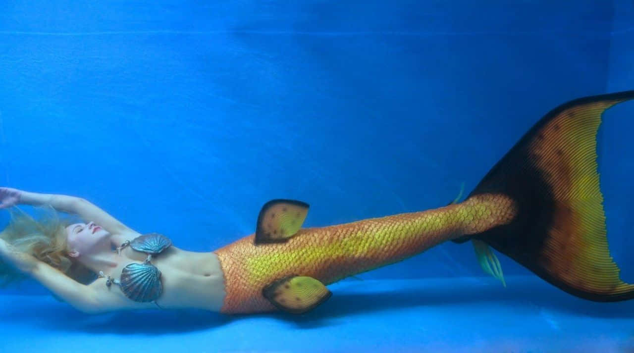 Meerjungfrauim Echten Leben - Bild Mit Gelbem Schwanz