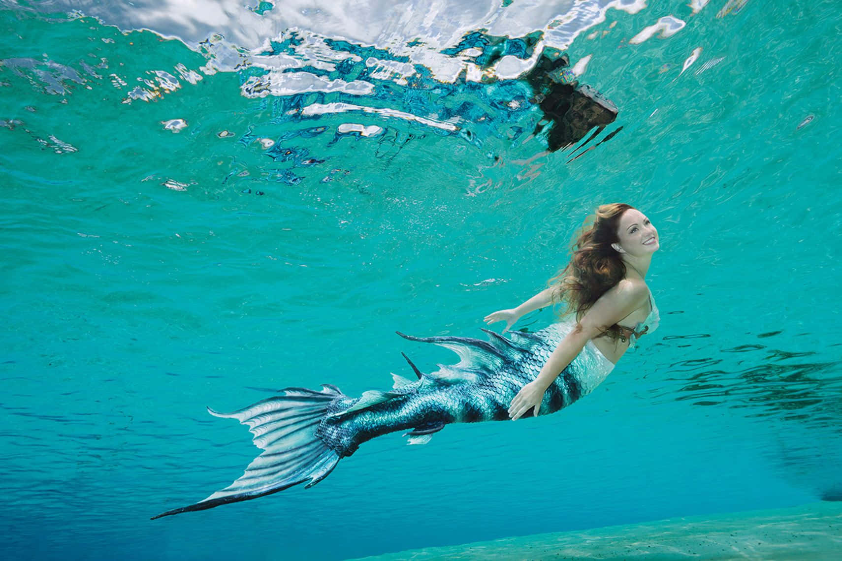 "Live underwater like a mermaid with a lifelong journey full of surprises and freedom."