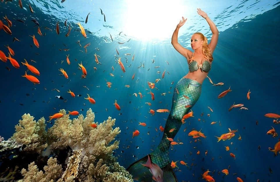 Immaginedi Una Sirena In Vita Reale Con Un Pesce Arancione.