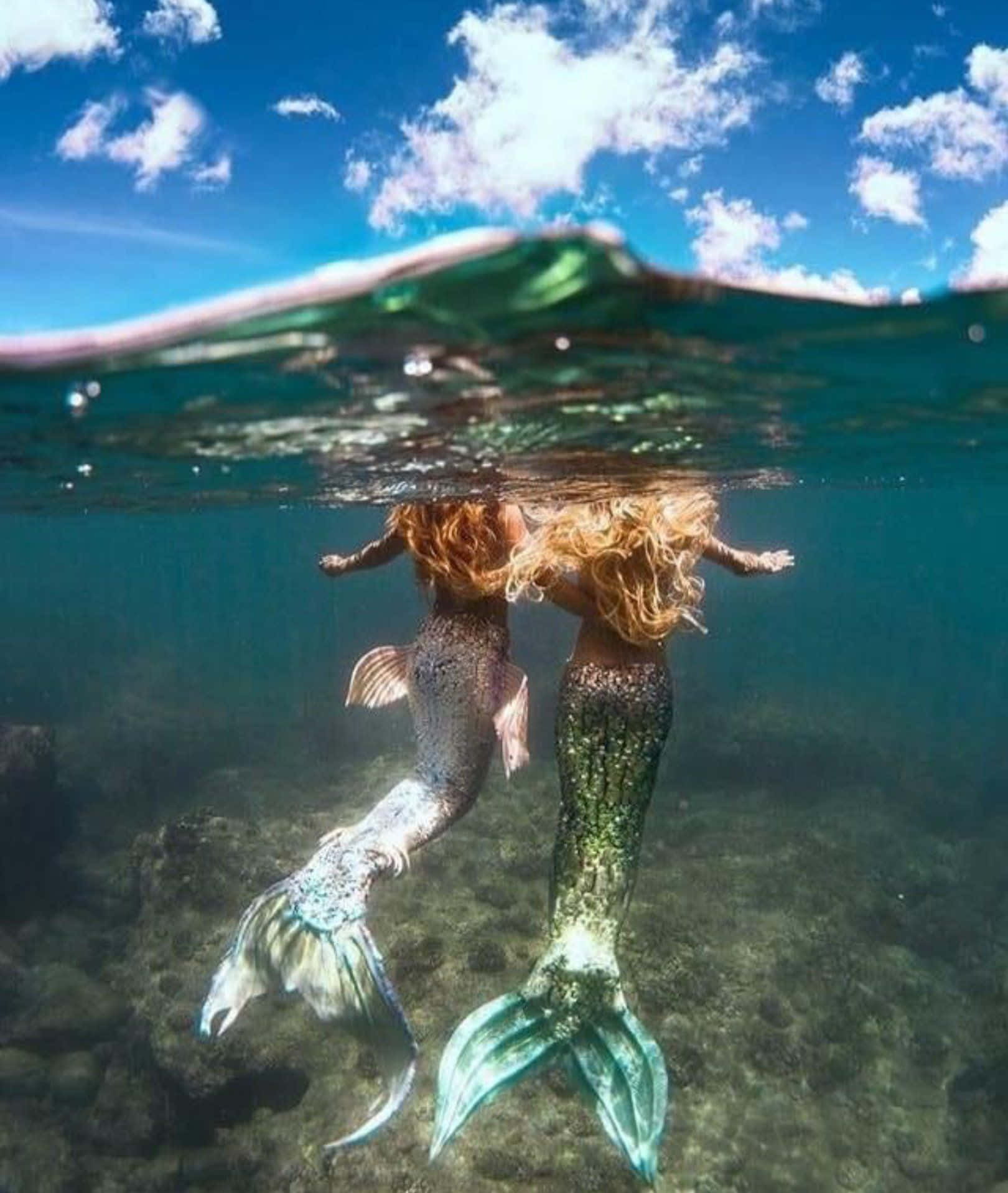 Mermaidbild Von Hinten In Der Realität