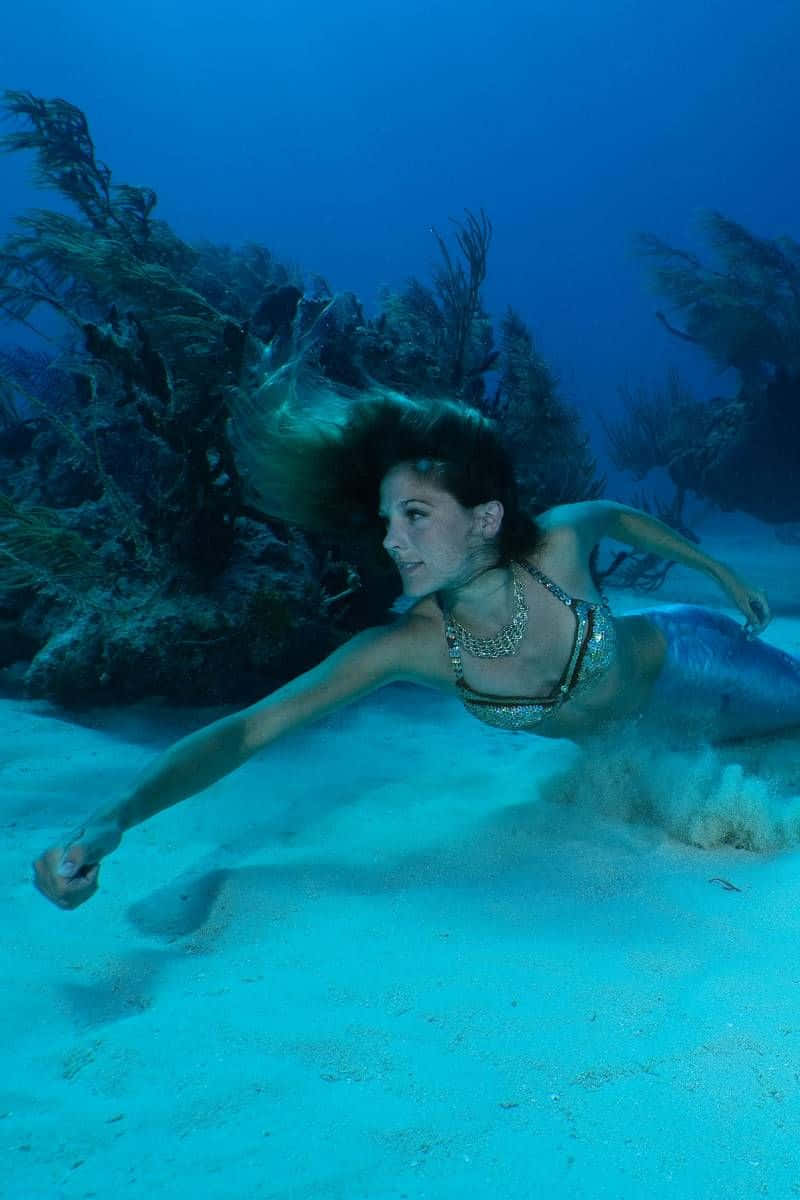 Mermaid Real Life in all its Beauty