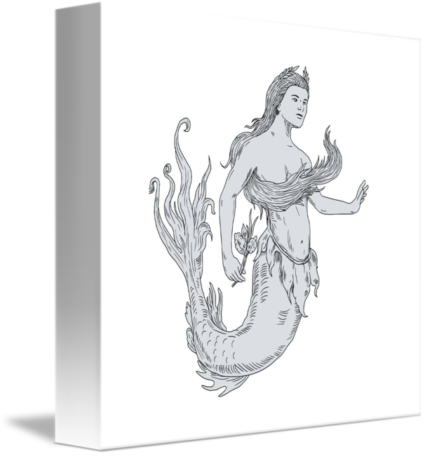 Mermaid Sketch Artwork PNG