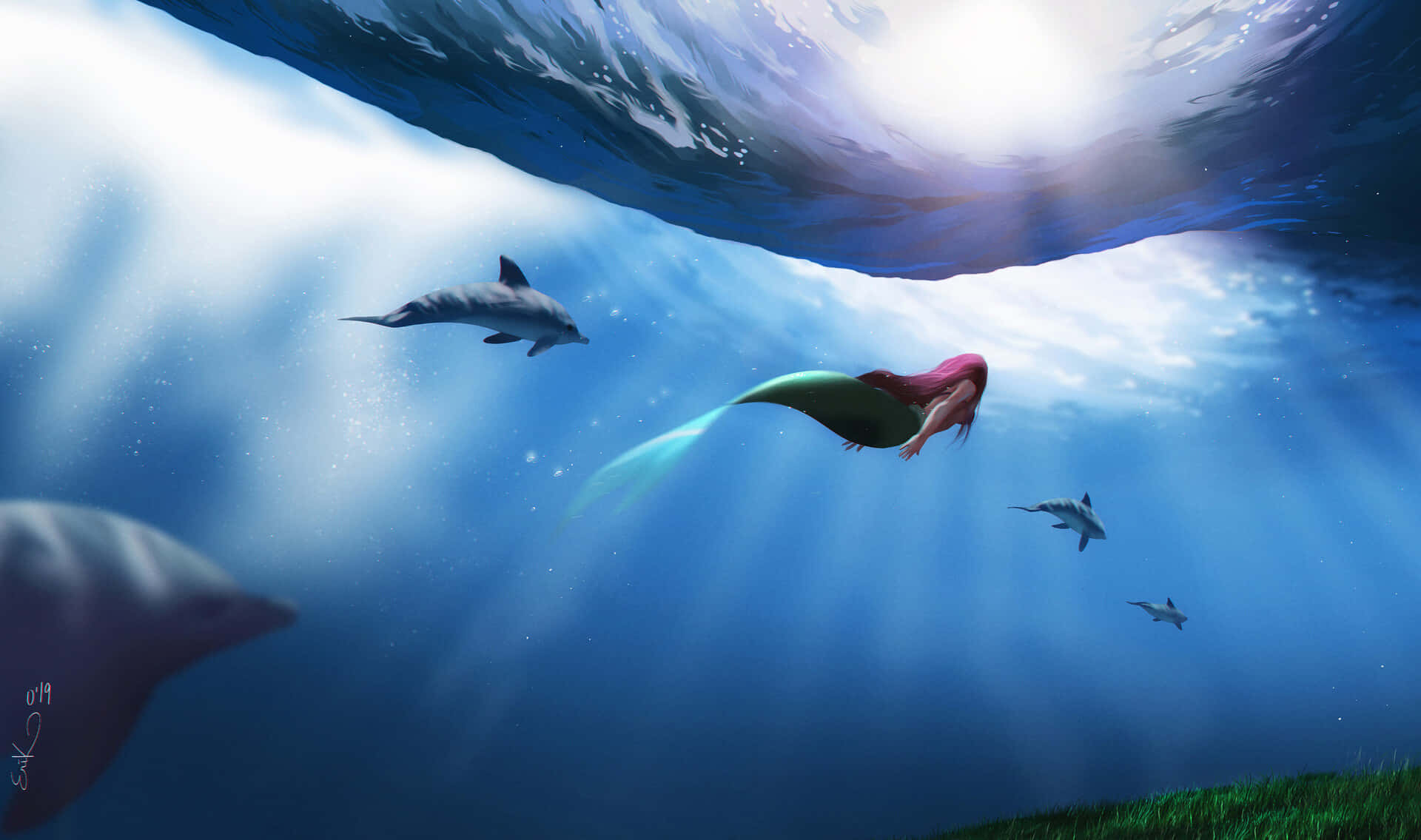 Mermaid Swimming With Dolphins Wallpaper