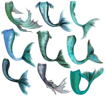 Mermaid Tail Collection Digital Art PNG