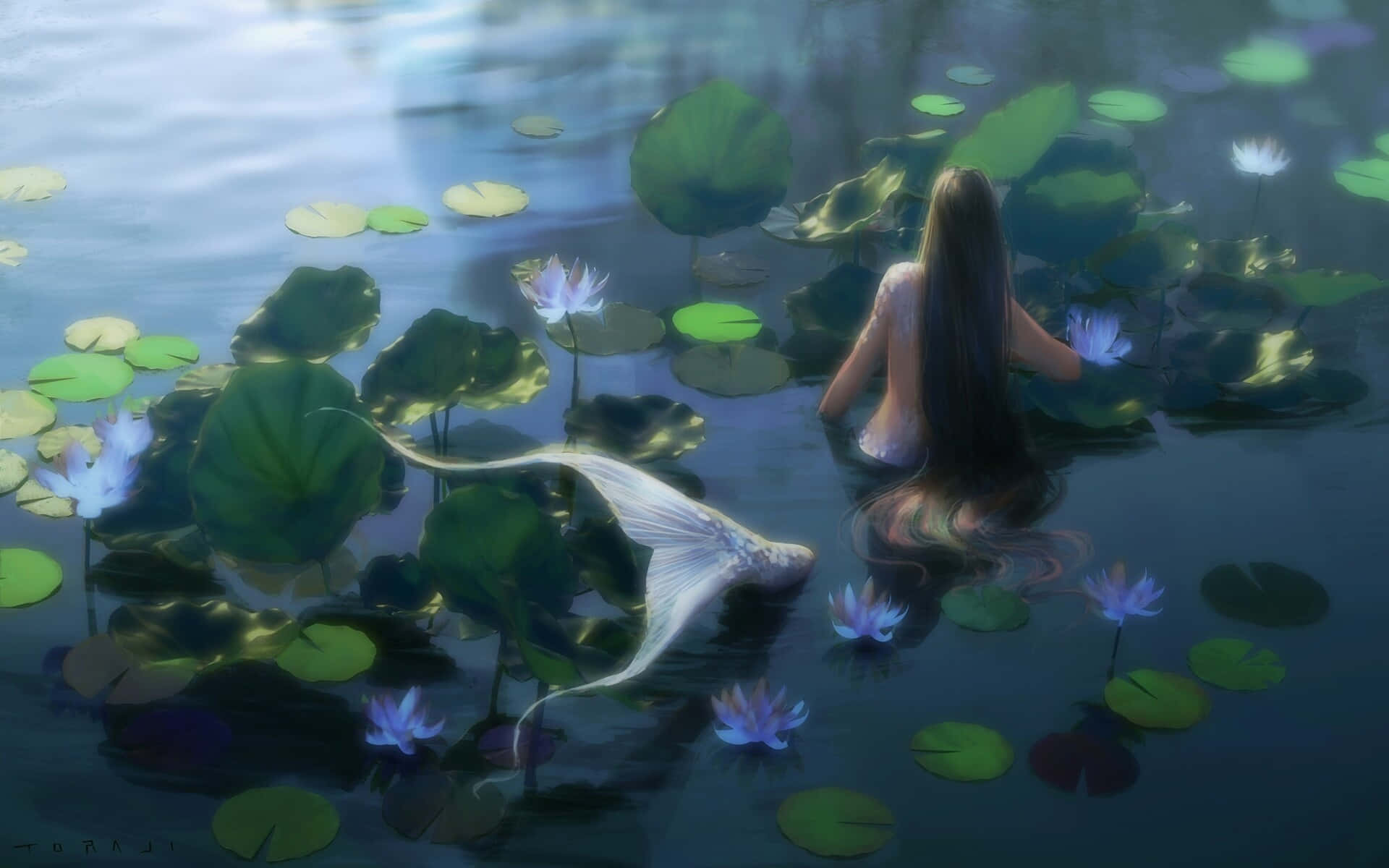 Mermaid Tail Emergence Lily Pond Wallpaper