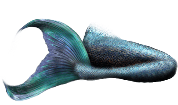 Mermaid Tail Realistic Design PNG