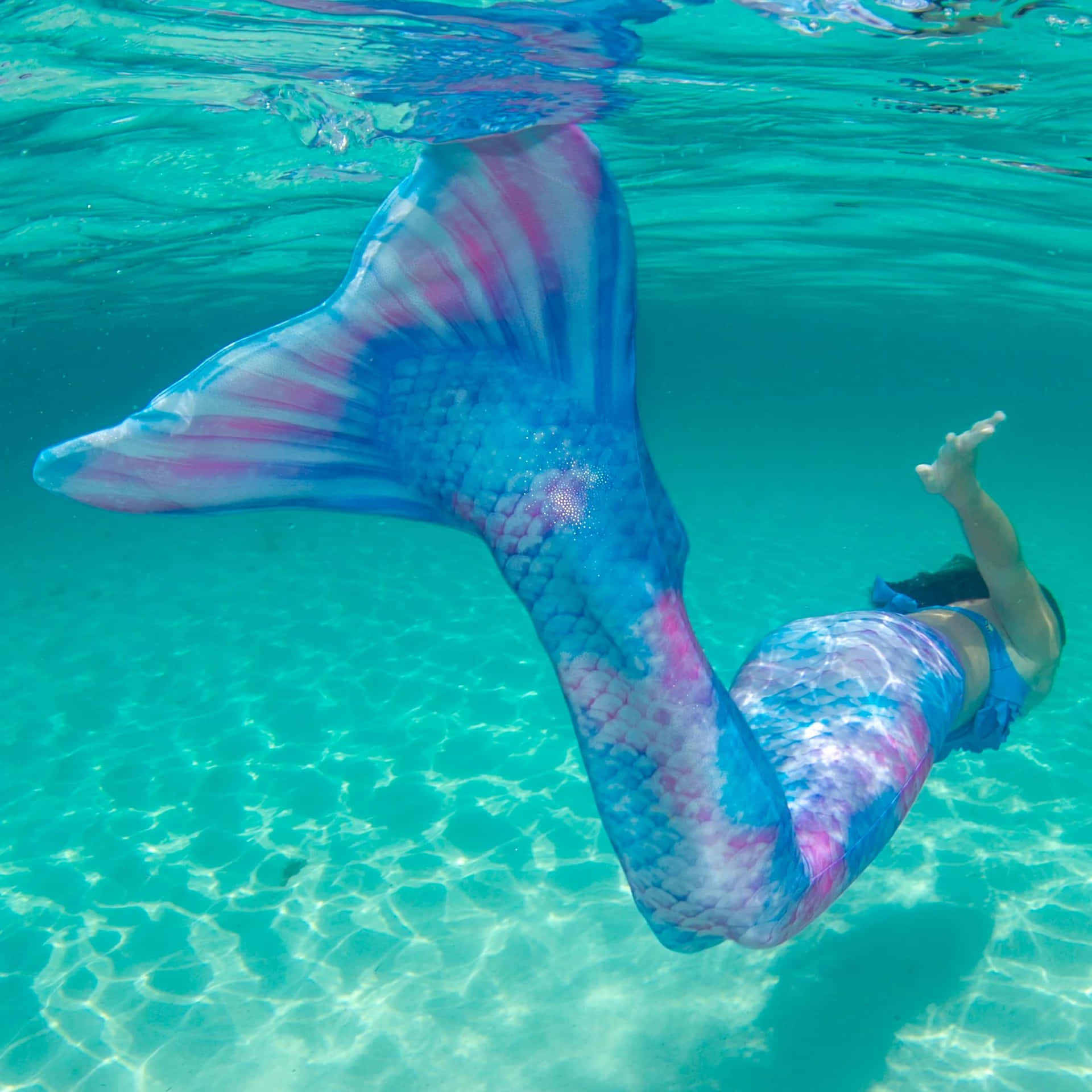 Mermaid Tail Swimming Underwater Wallpaper