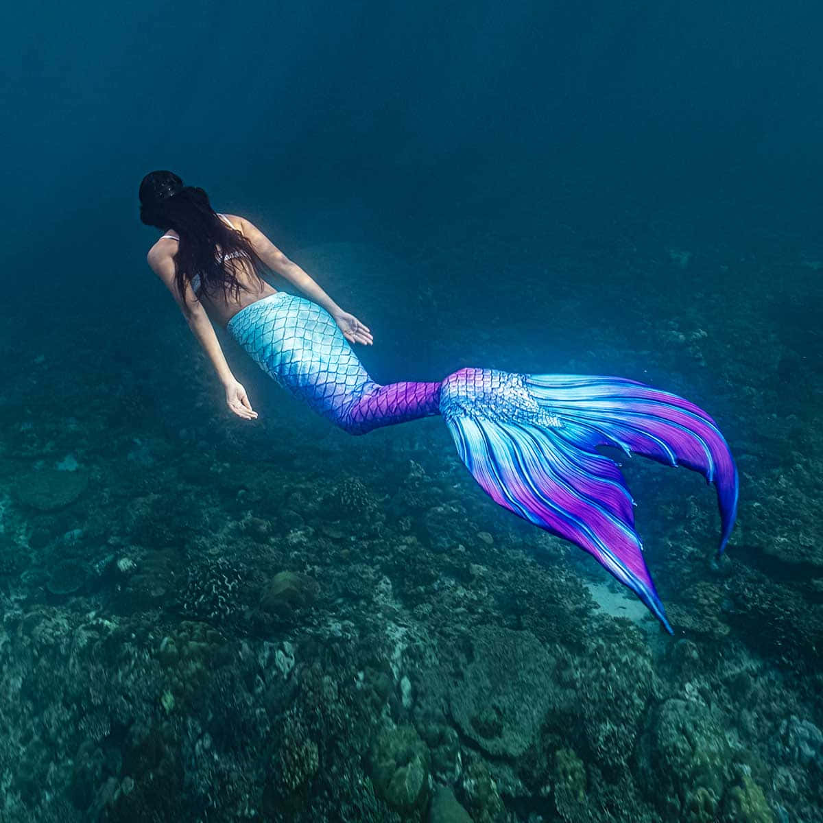 “Fish Tales - A Magical Duo of Mermaids”