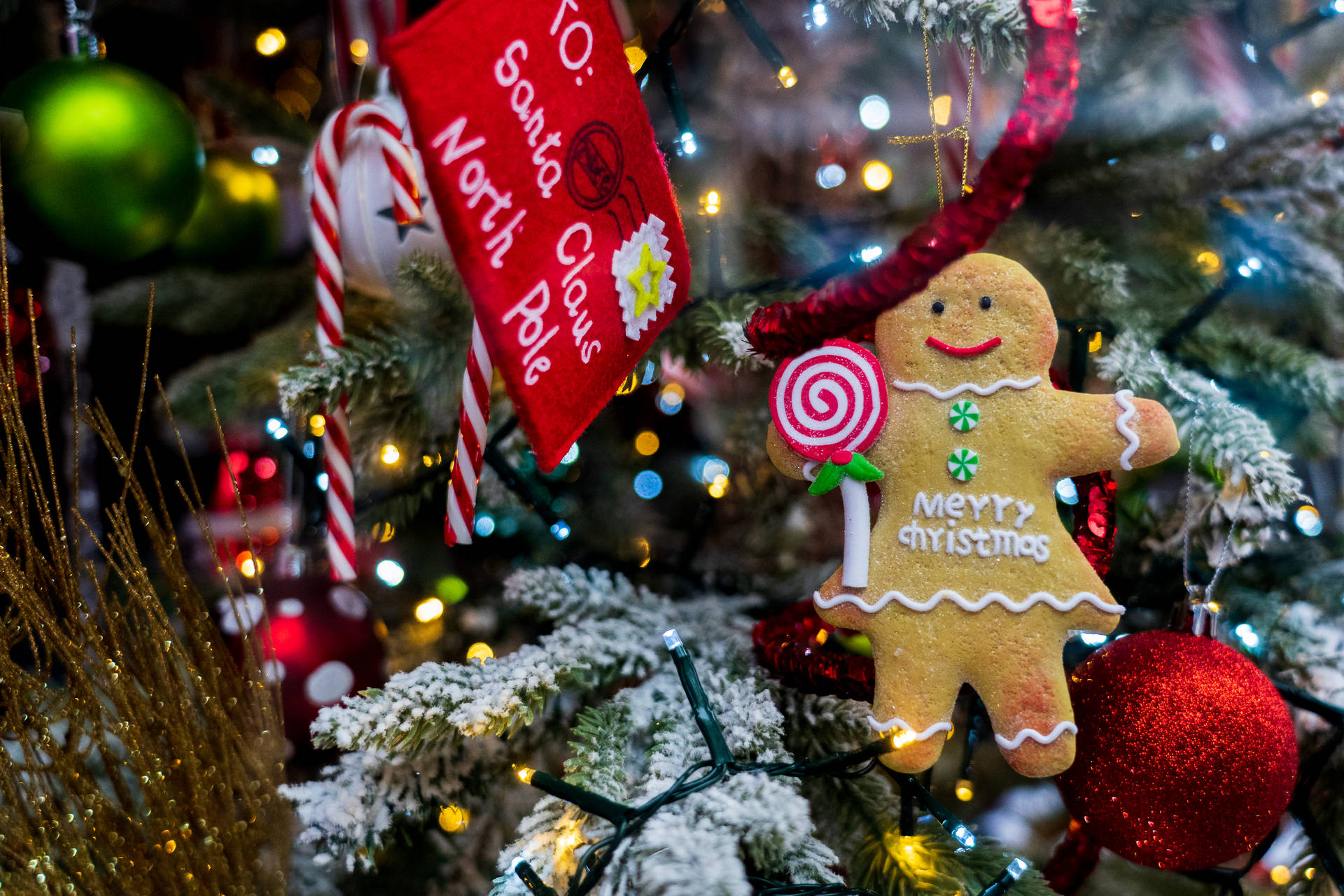 Merry Christmas Gingerbread Man