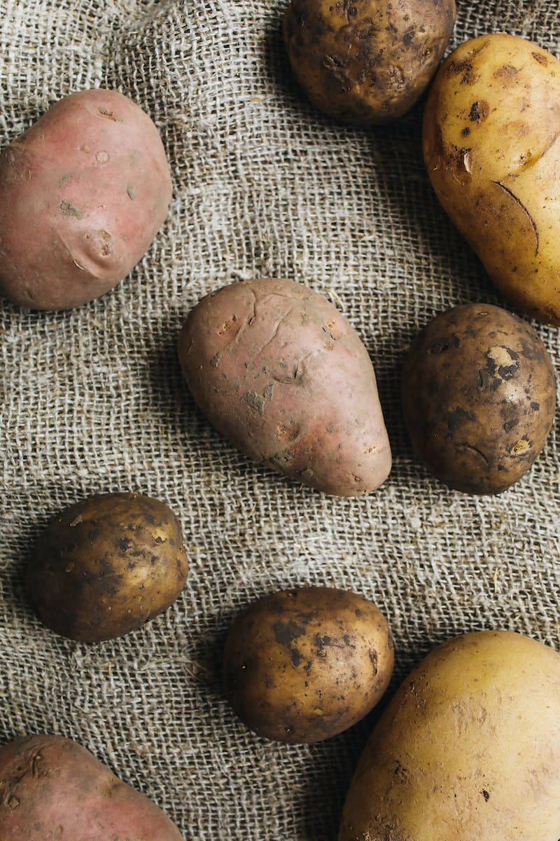 Caption: Hearty and Nutritious Sweet Potatoes Wallpaper