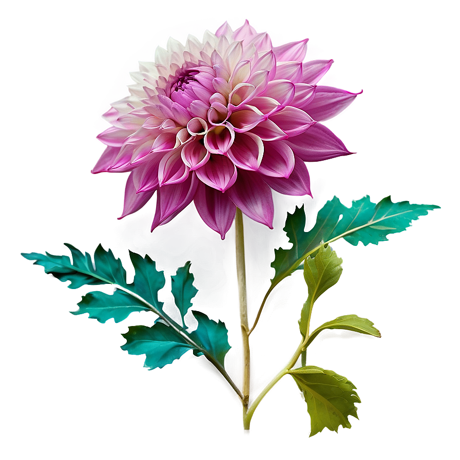 Mesmerizing Dahlia Png 06202024 PNG