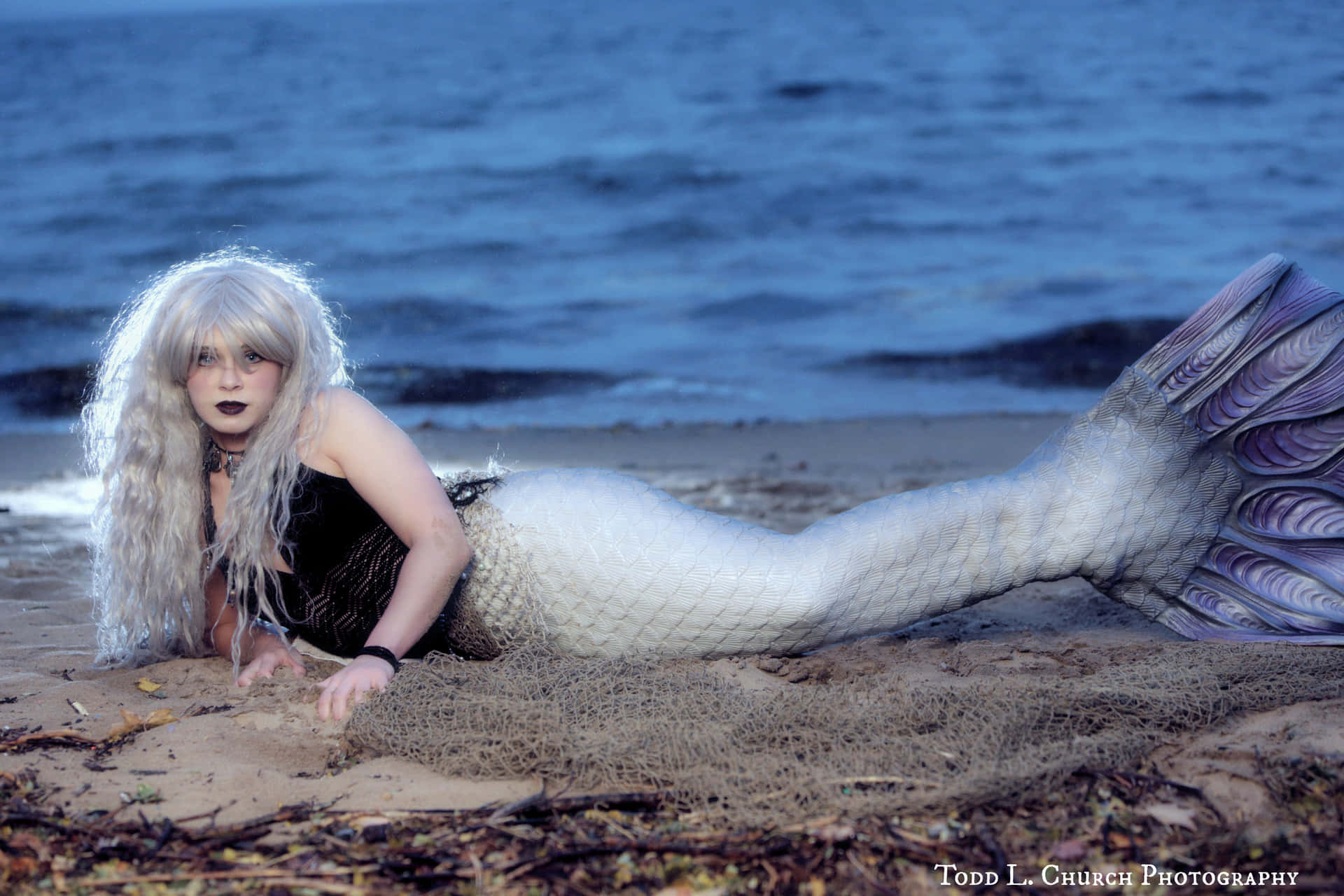 Mesmerizing Image Of Mythical Marine Creature - Real Mermaid