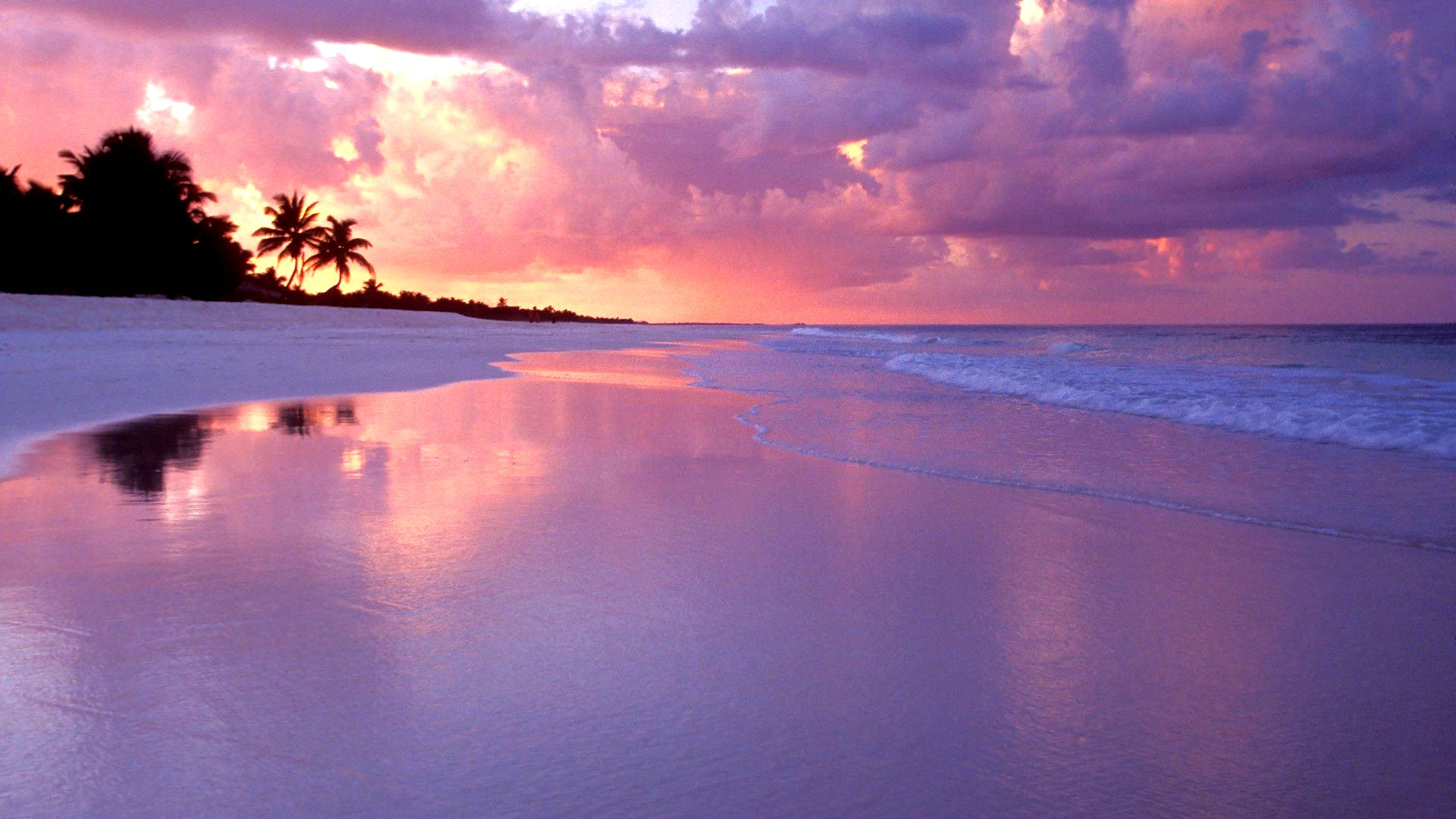Mesmerizing Sunset At The Beach Wallpaper