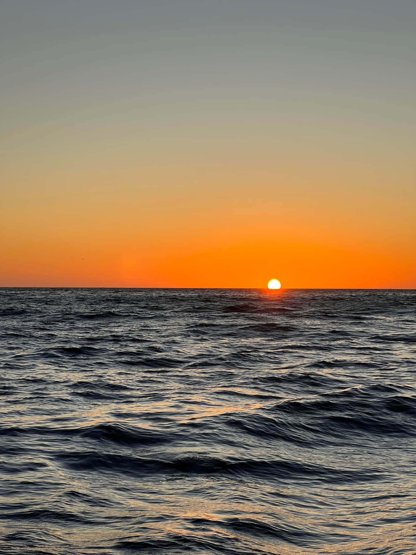 Mesmerizing Sunset Over The Serene Ocean