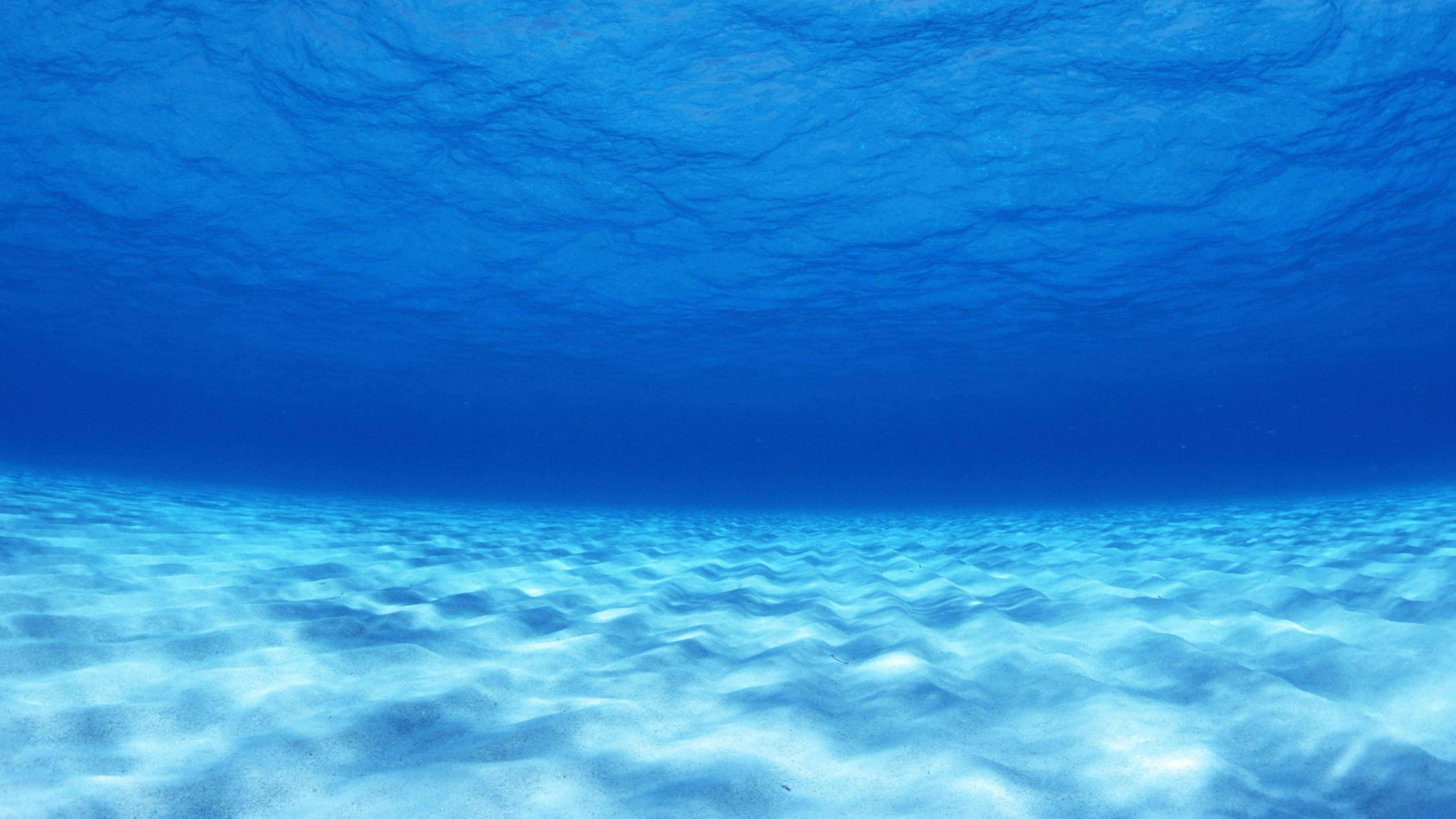 3 внутренних океана. Дно океана. Море вода. Фон море. Море под водой.