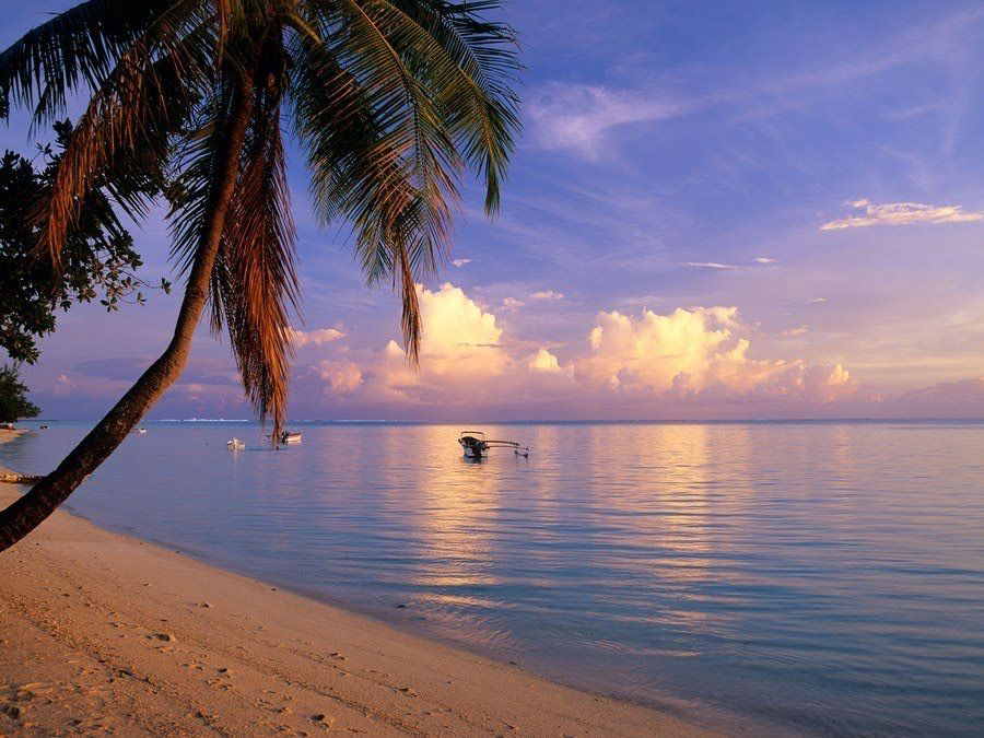 Mesmerizing View Of Crystal Clear Tidal Waves On Golden Sands