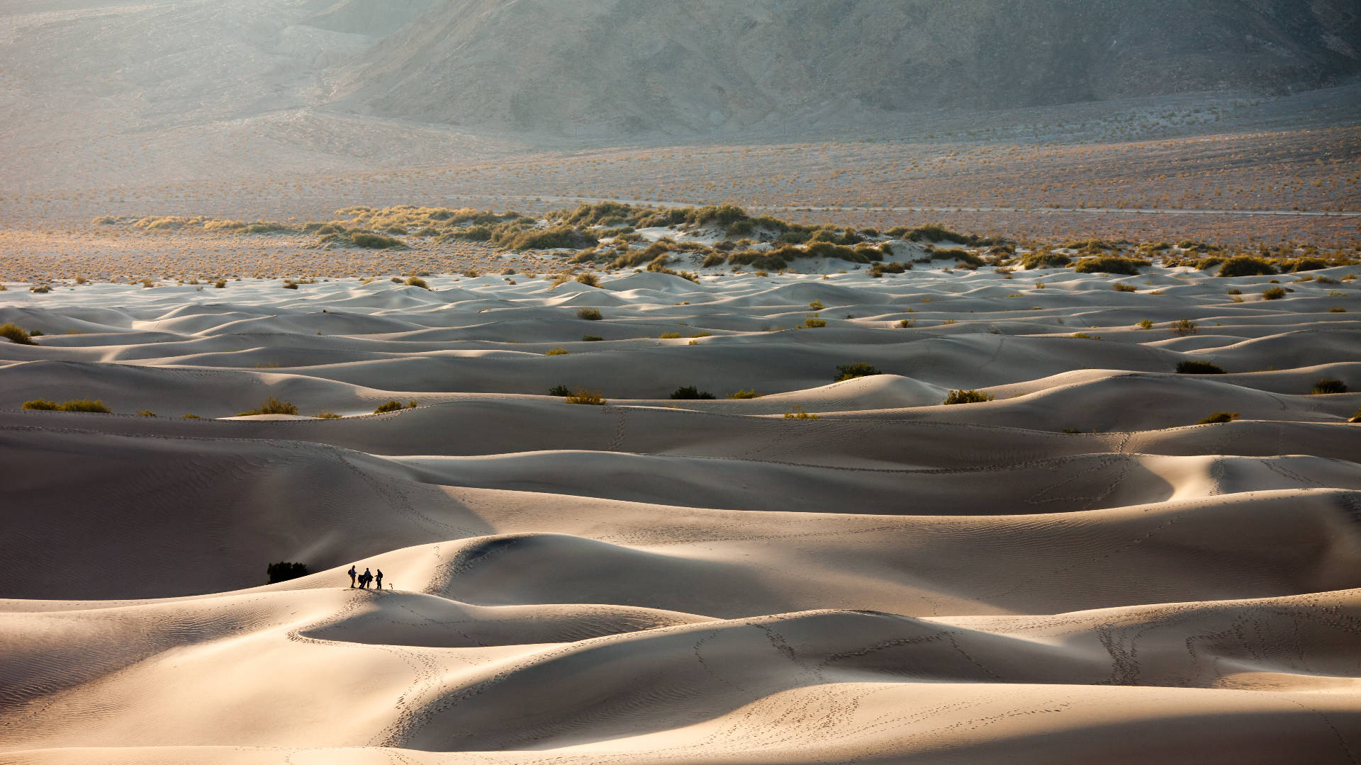 Dunedi Mesquite Flat A Death Valley Sfondo