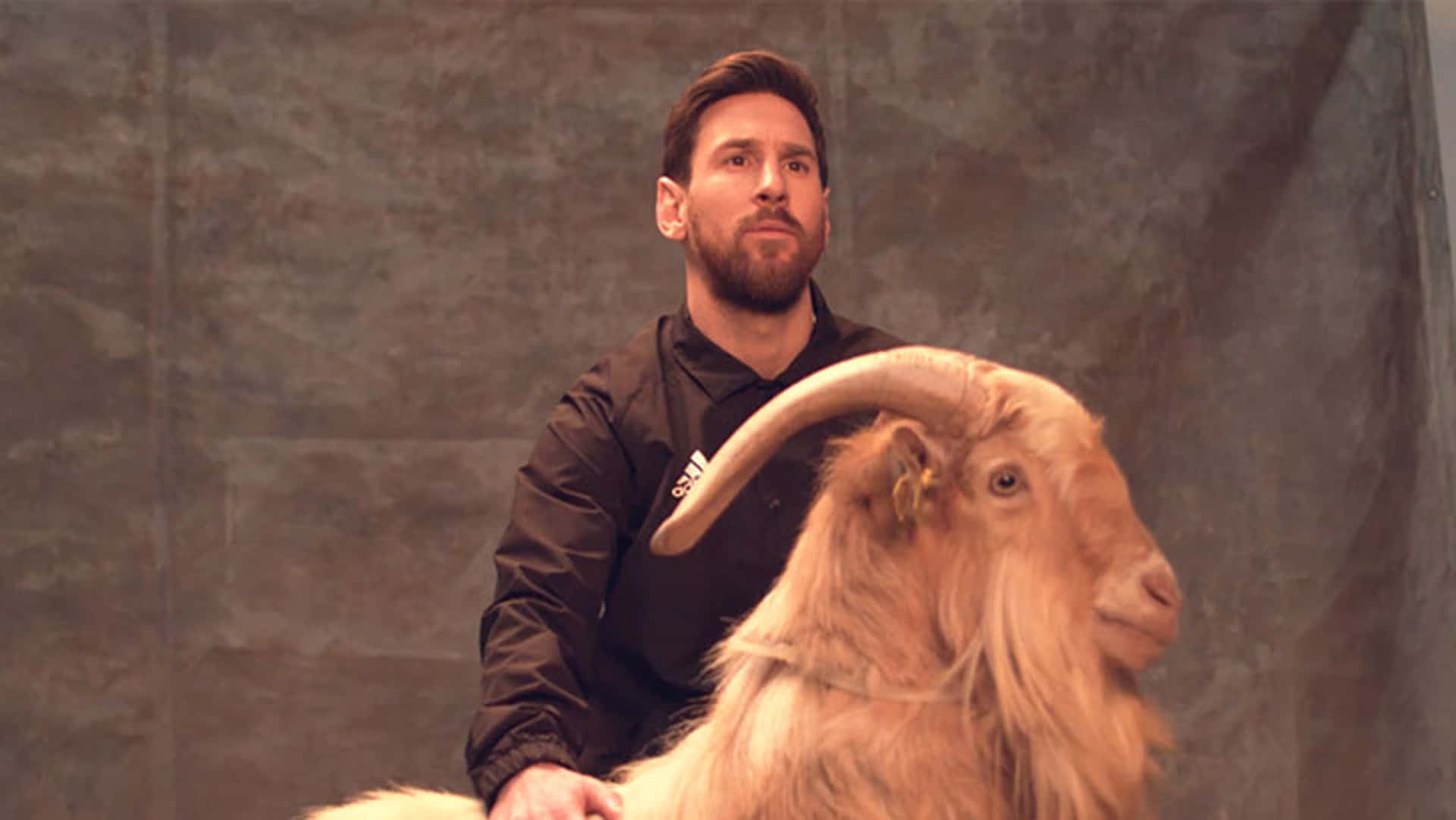 Messiand Goat Photoshoot Wallpaper