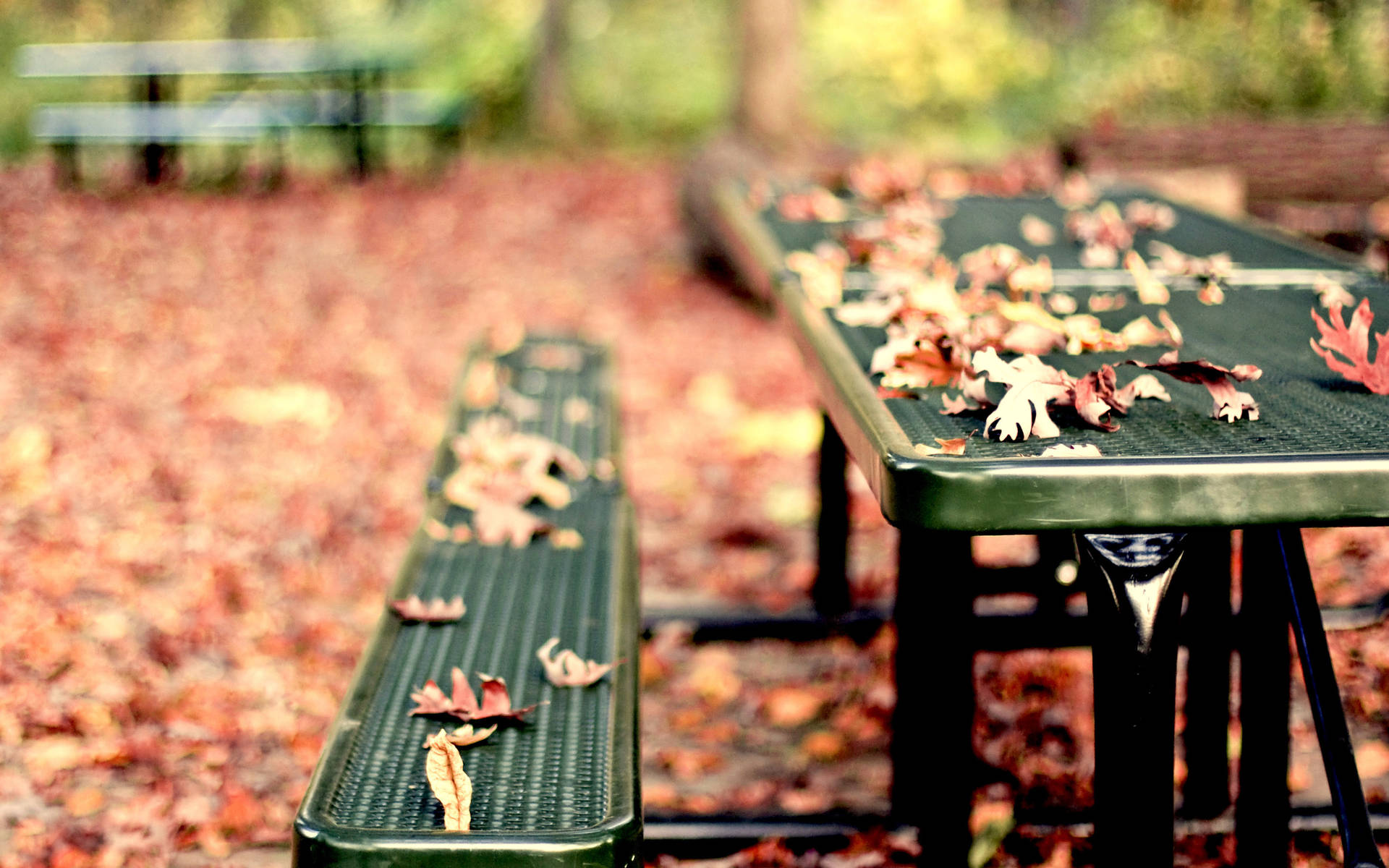 Sturdy Metal Picnic Bench in a Park Wallpaper