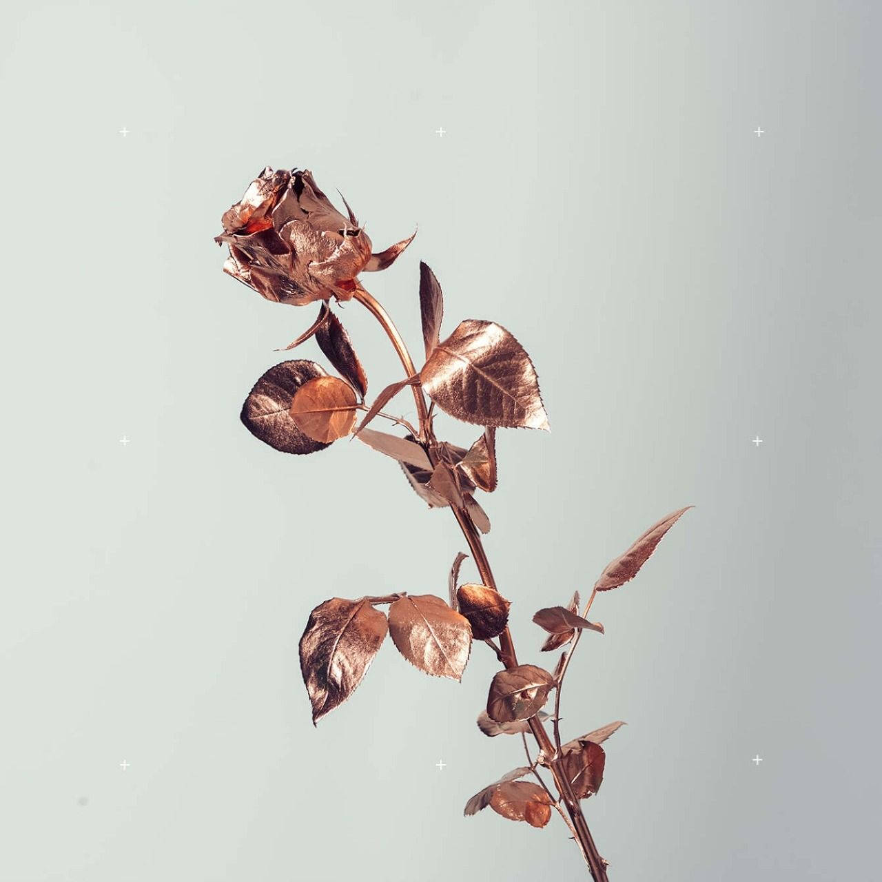 Metallic Rose Gold Flower