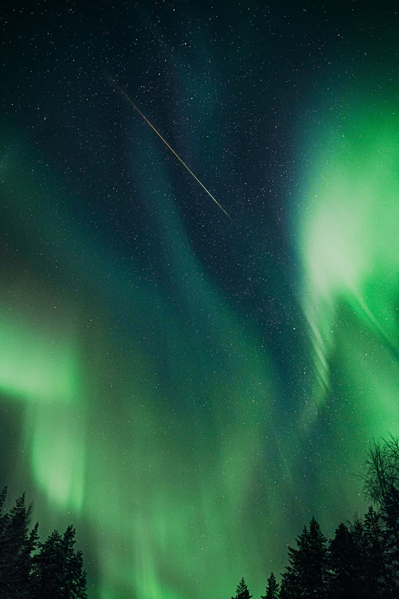 Henkeäsalpaava Meteorisate Yötaivaalla Taustakuva