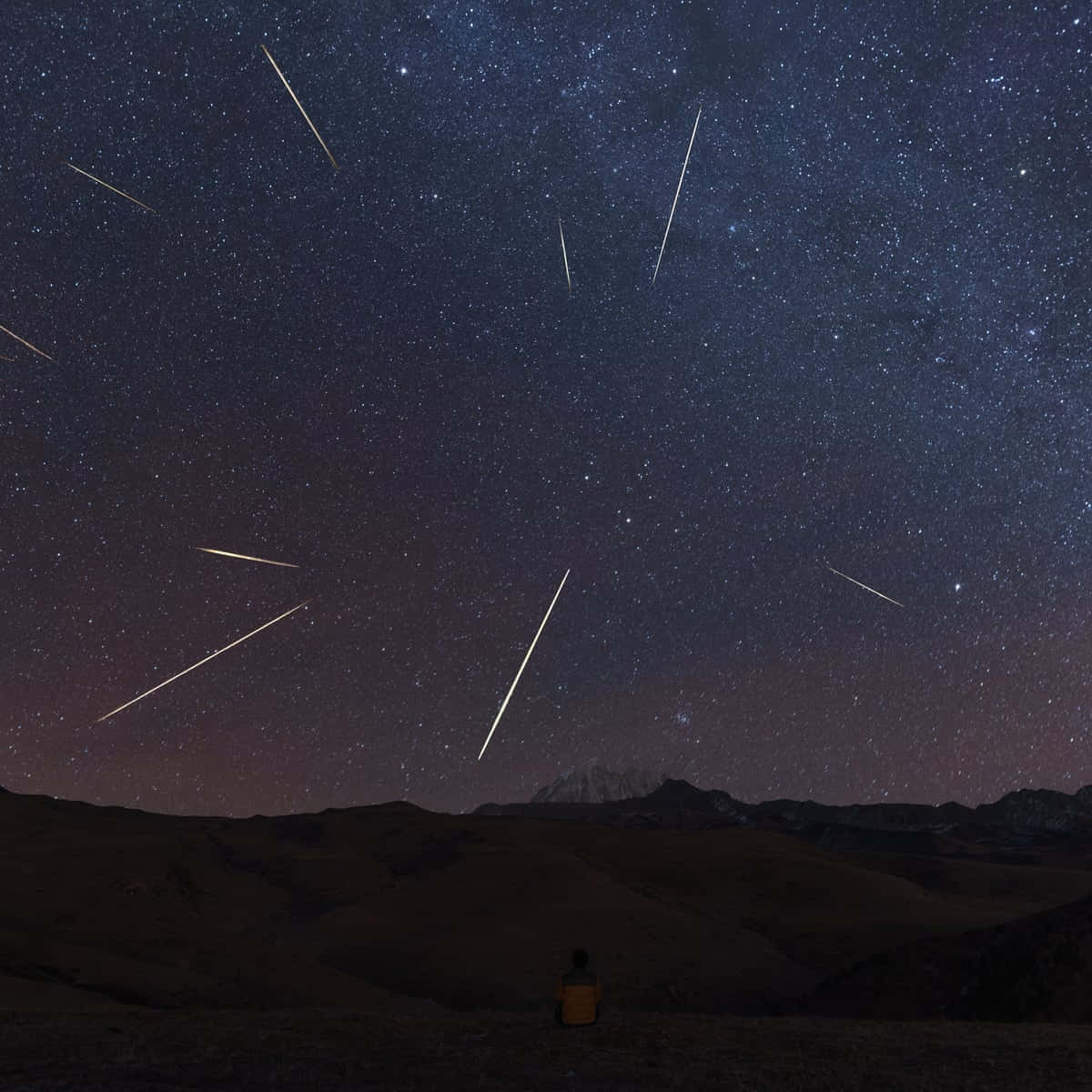 Streaking Through The Night Sky: A Meteor Crossing